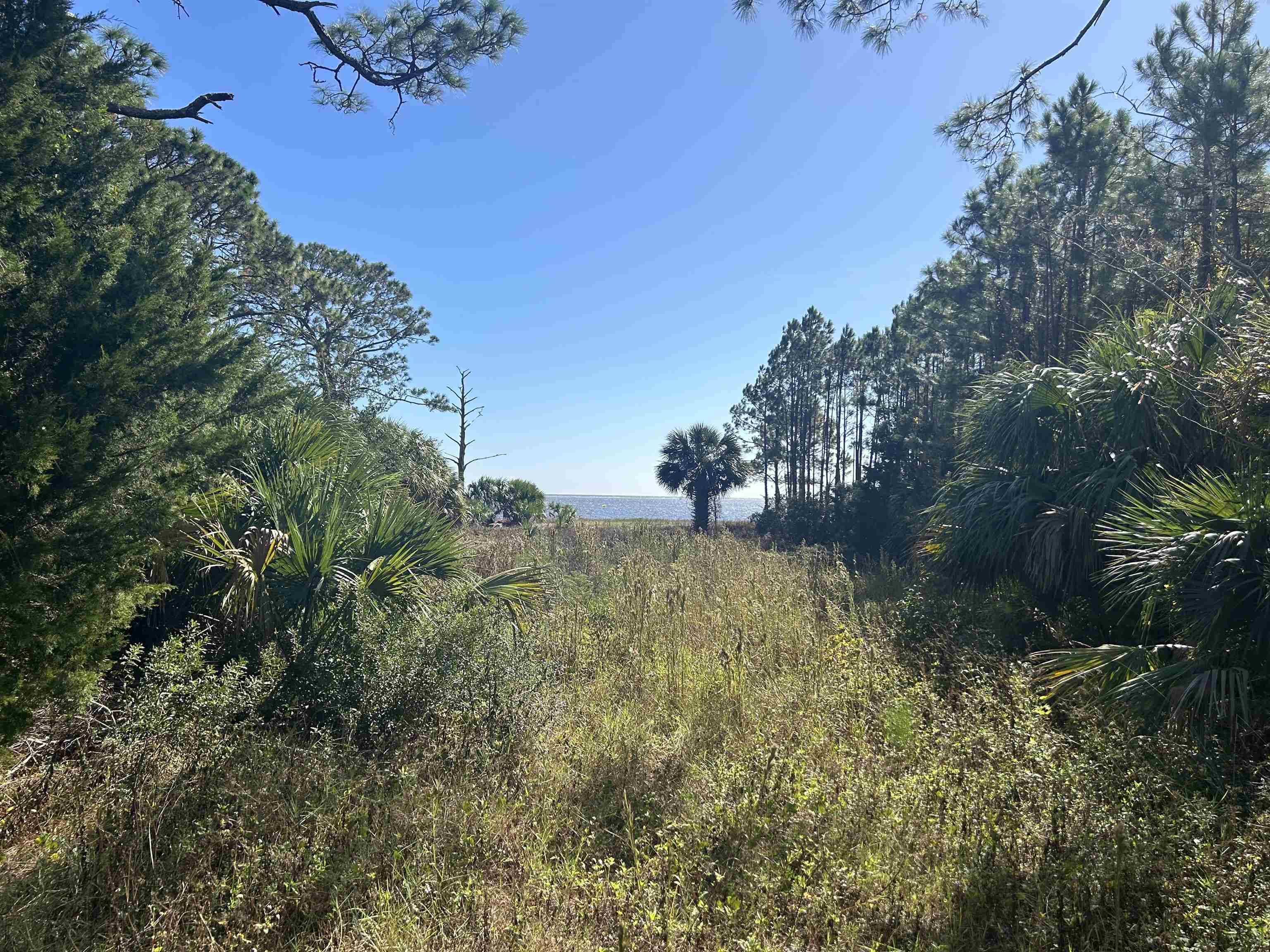 Lanark, FL 32322,2187 E 98 Highway