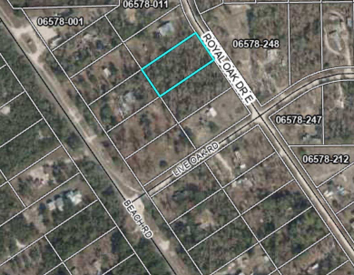 Perry, FL 32348,lot 01 E Royal Oak Drive