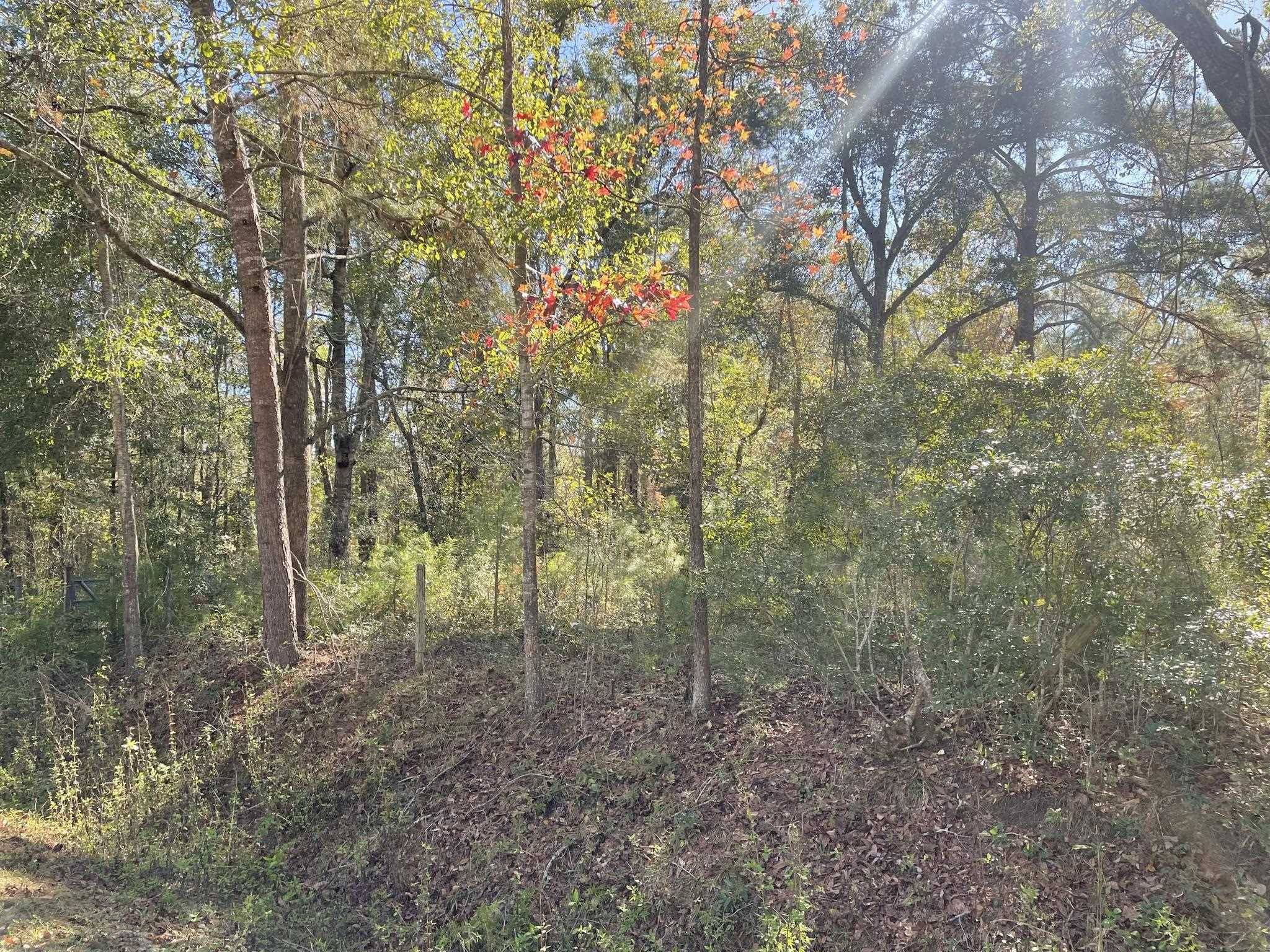 Havana, FL 32333,lot 31 Red Fern Road
