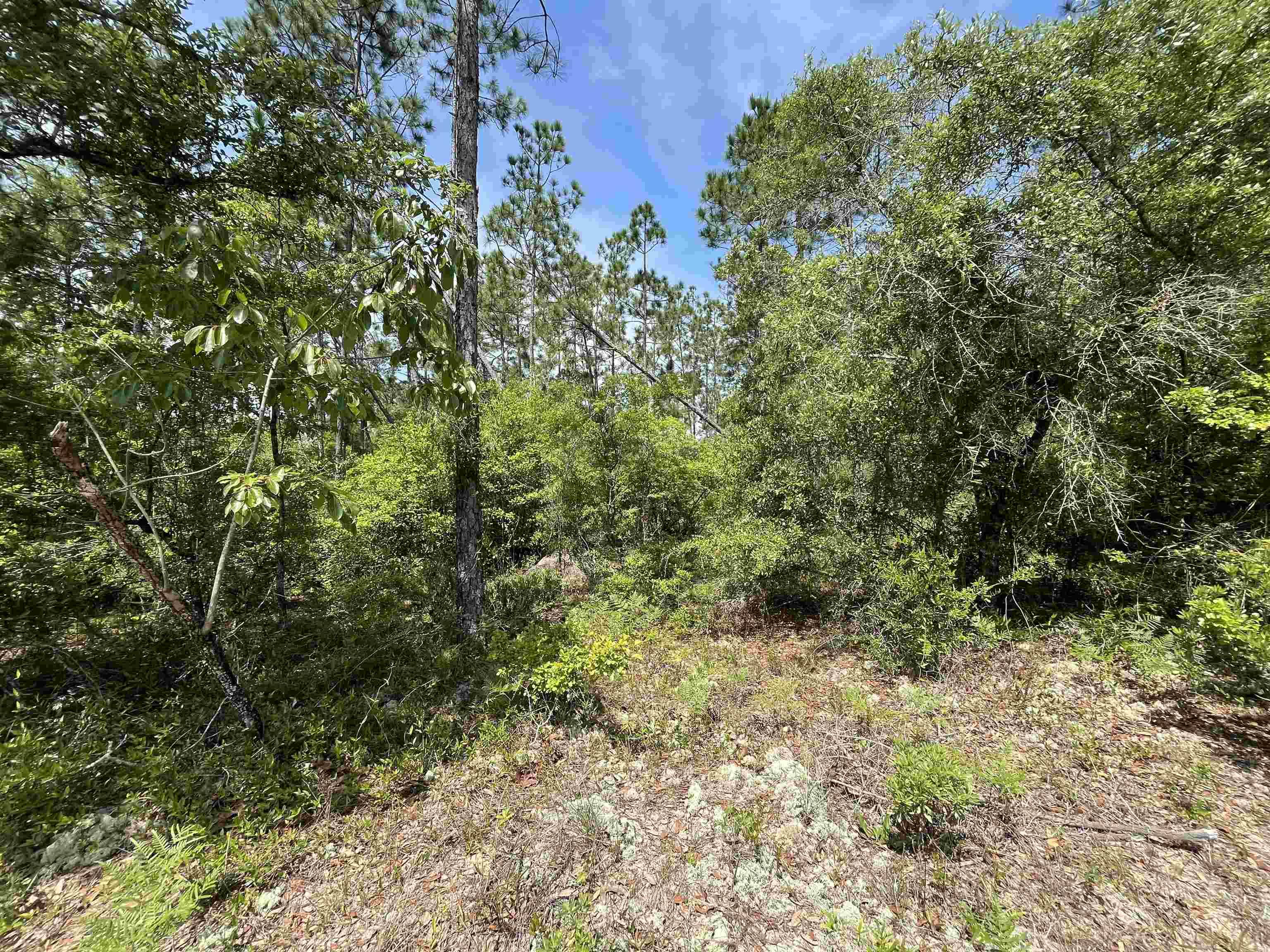 Alford, FL 32420,xxx Holly Springs Avenue
