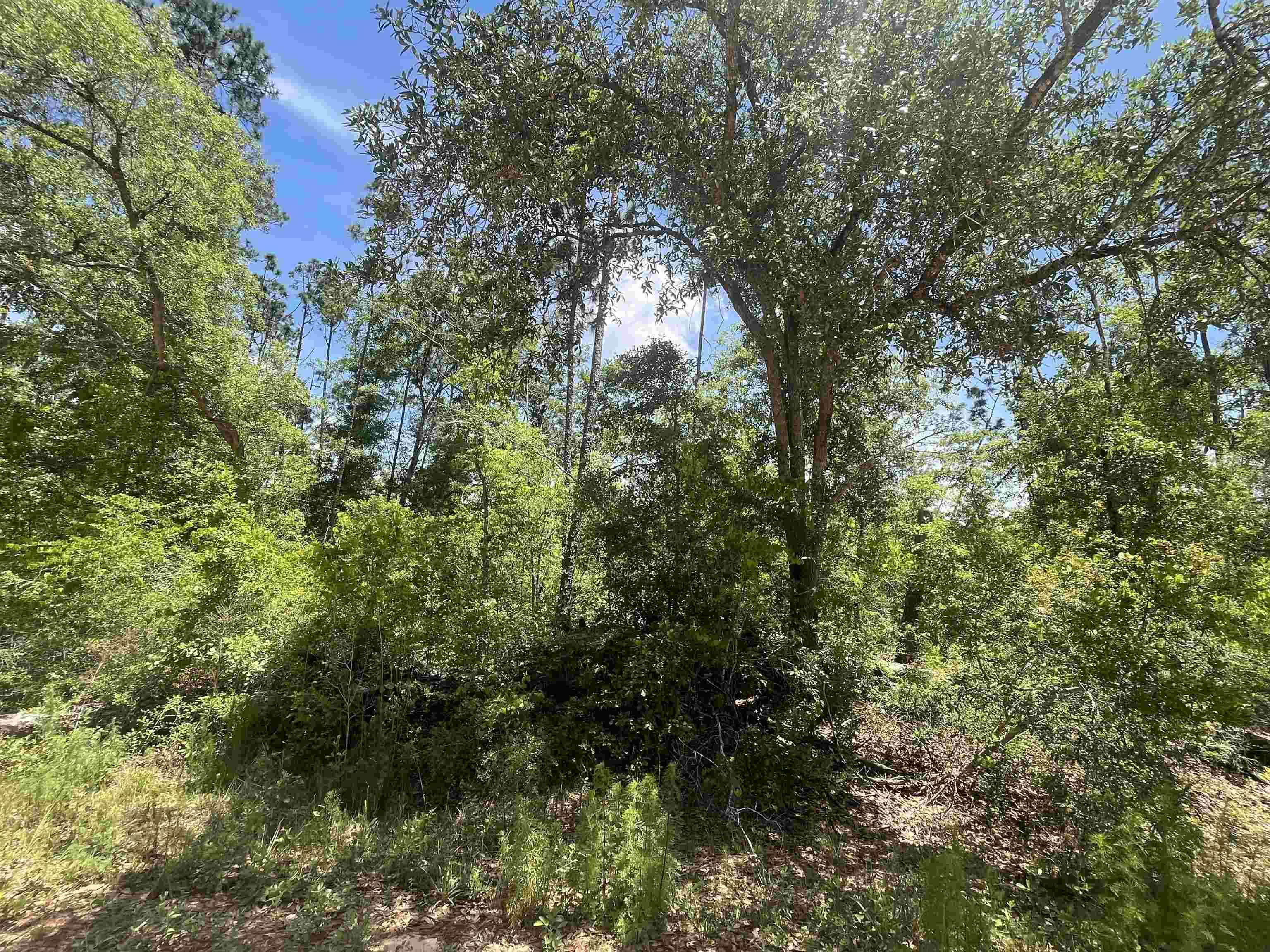 Marianna, FL 32448,Tamarac Road