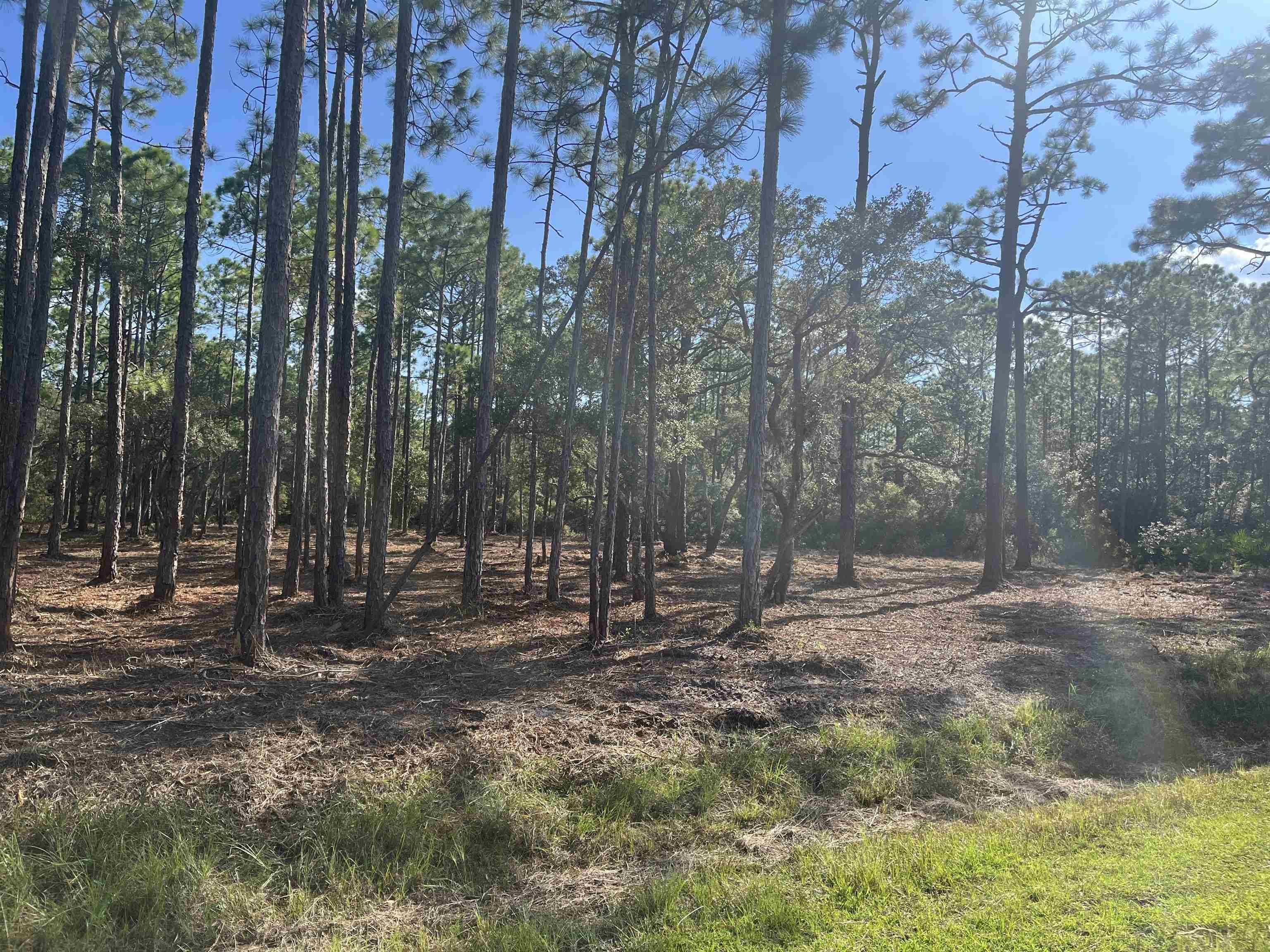 Ochlockonee Bay, FL 32346,Lot 62 Sevier Street