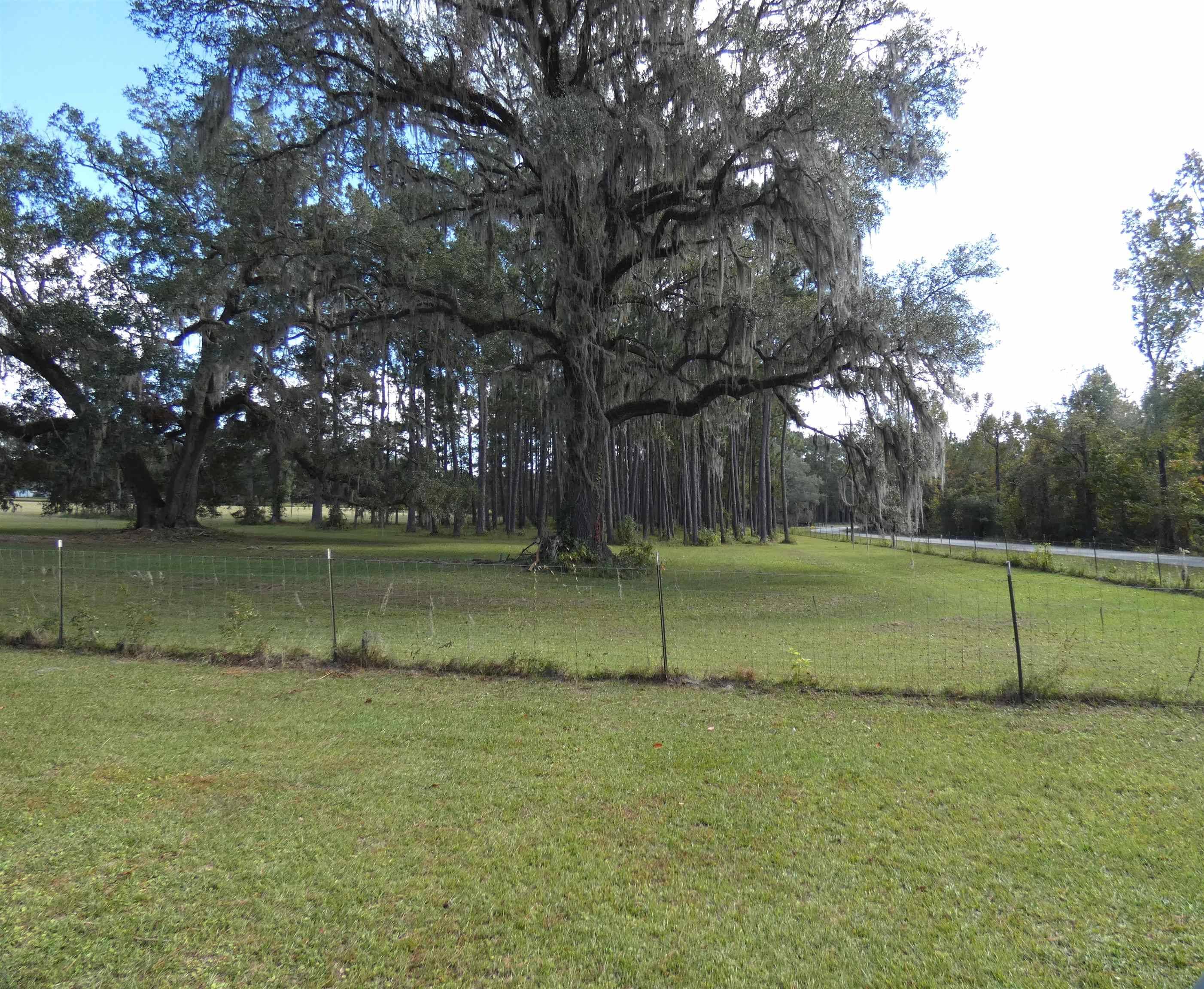 Monticello, FL 32344,TBD Taylor Road