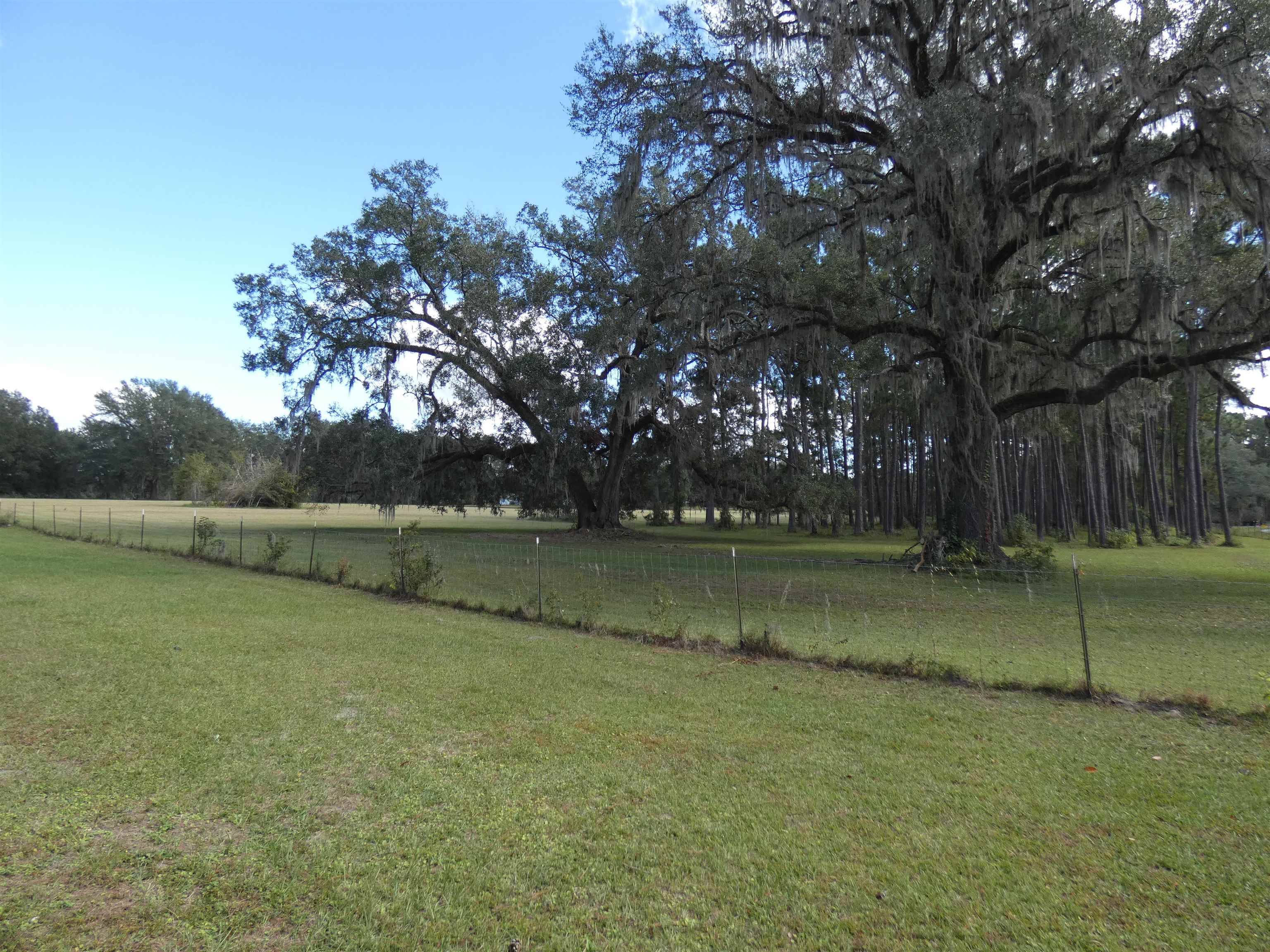 Monticello, FL 32344,TBD Taylor Road