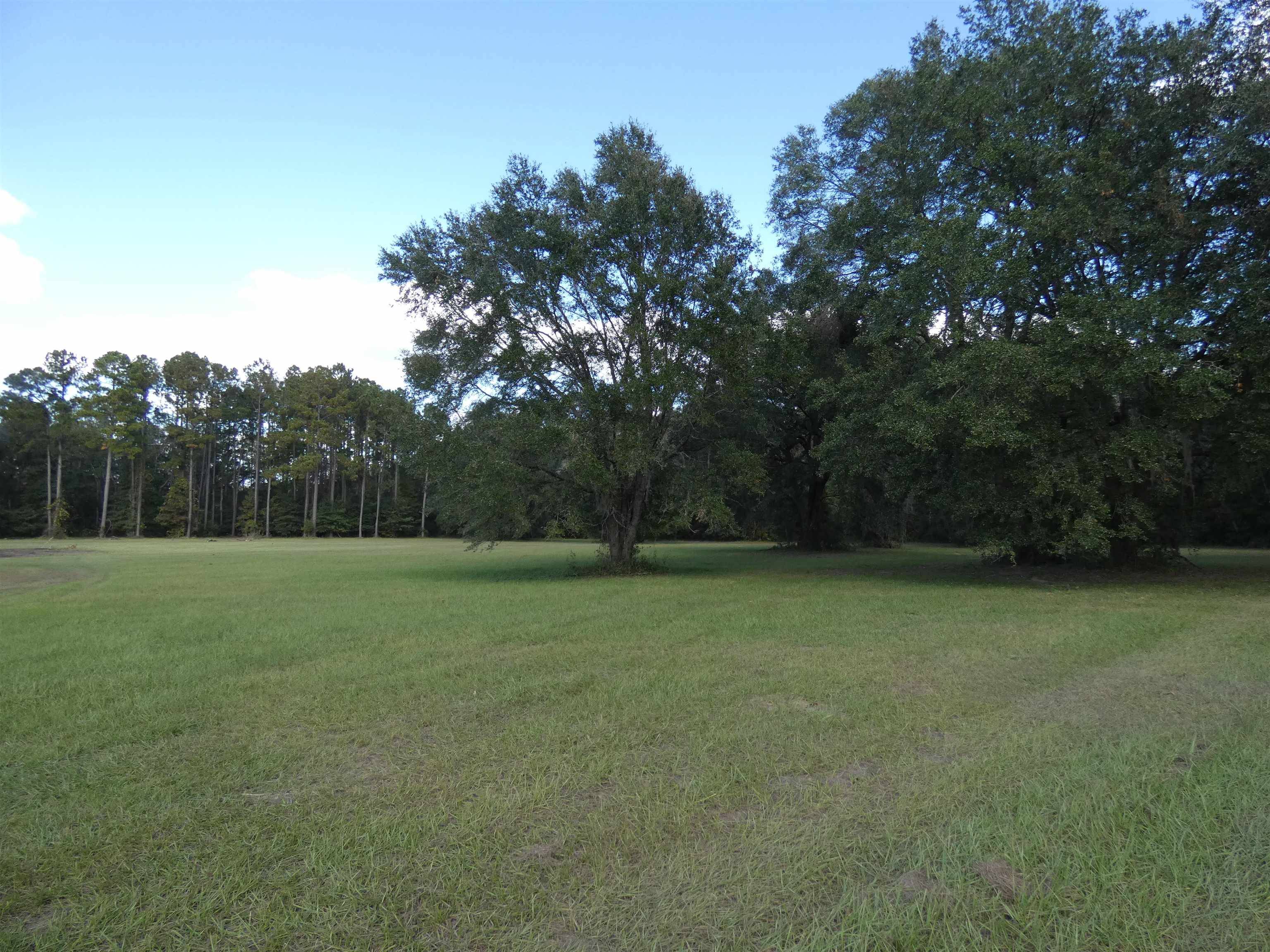 Monticello, FL 32344,TBD Taylor Road