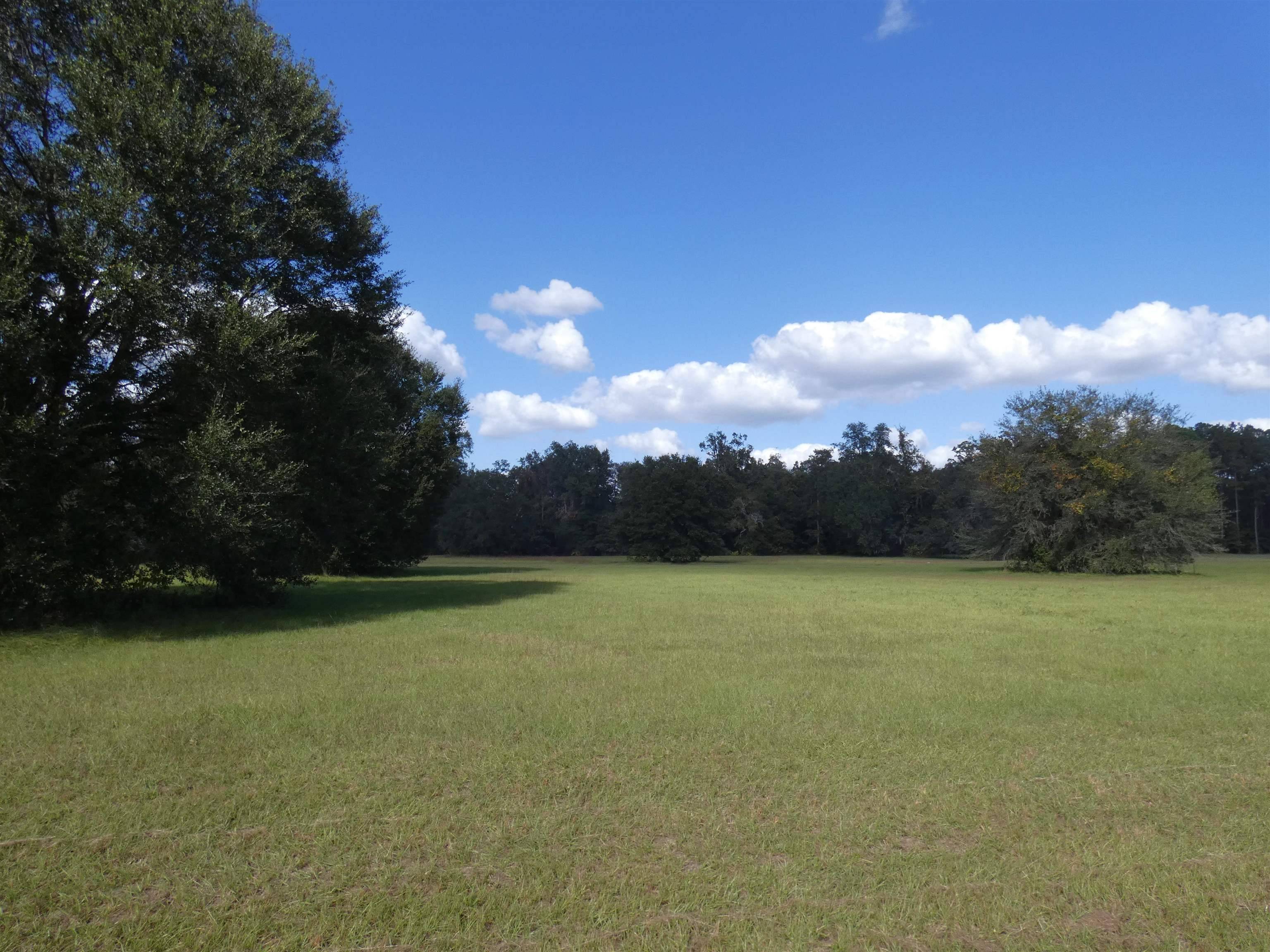 Monticello, FL 32344,TBD Taylor Road