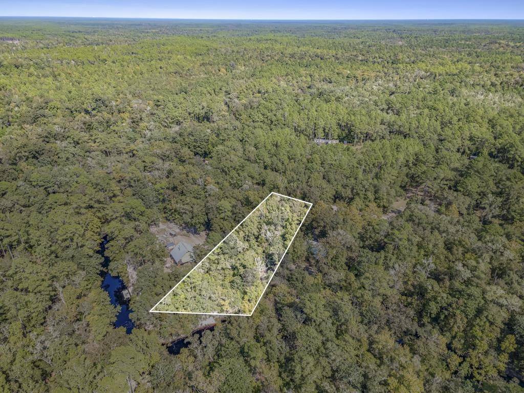 Sopchoppy, FL 32358,Lot 15 Fonigan Road