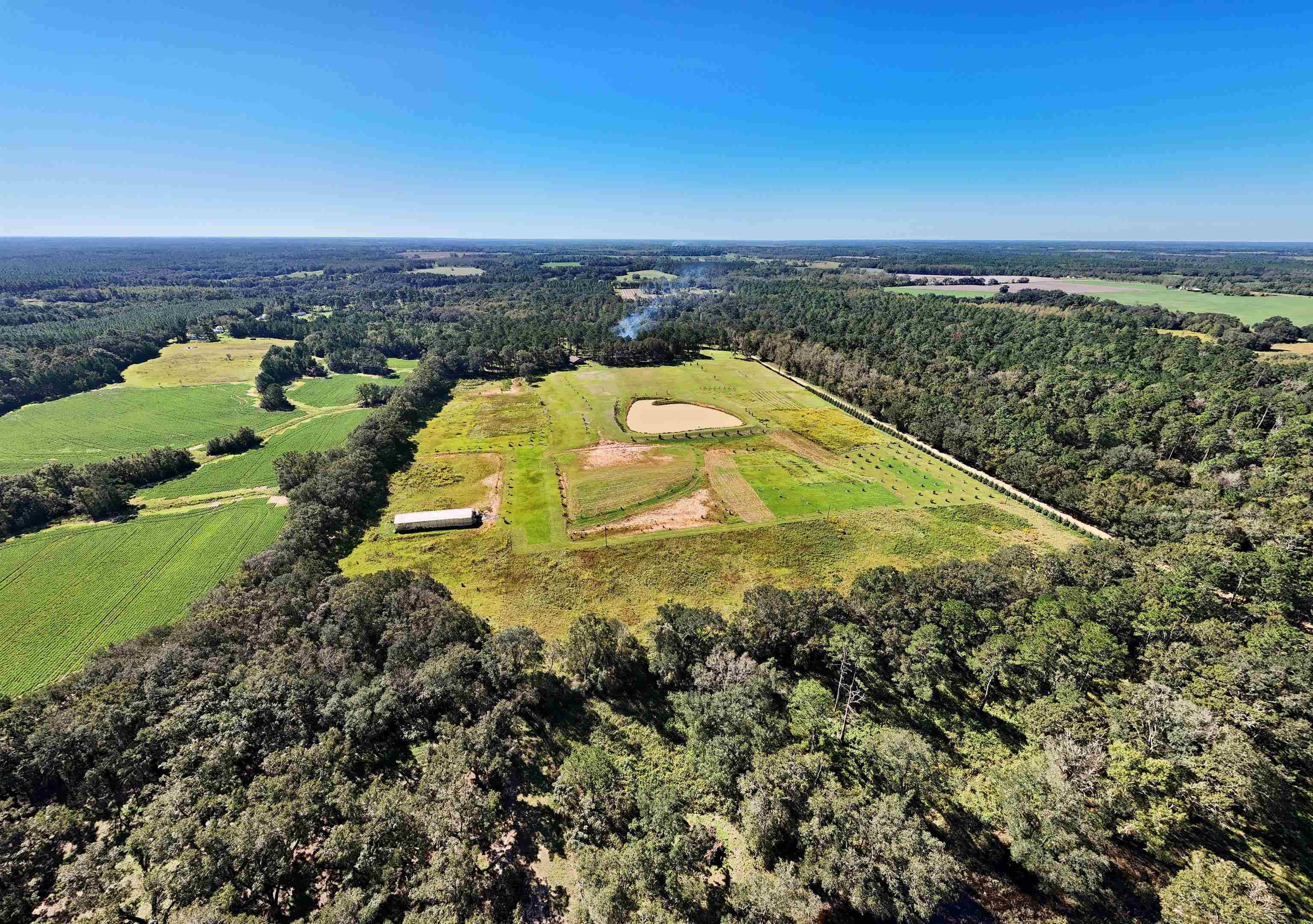 Other Georgia, GA 31778,1136 Nesbitt Road