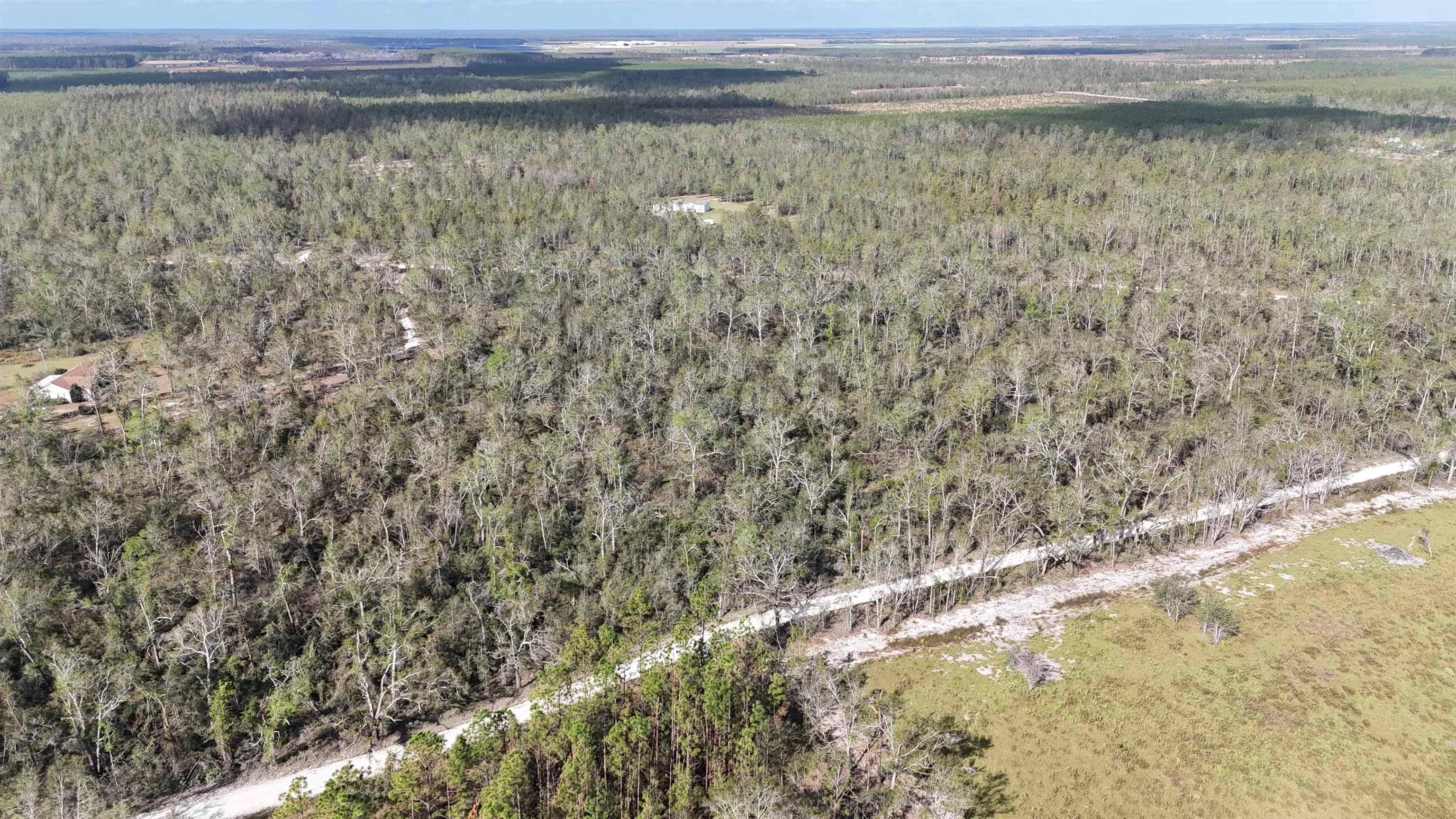 Lee, FL 32059,Vacant SE River Road
