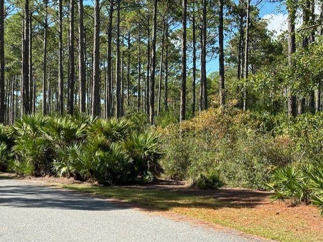 St Teresa, FL 32358,102 Fishhook Way