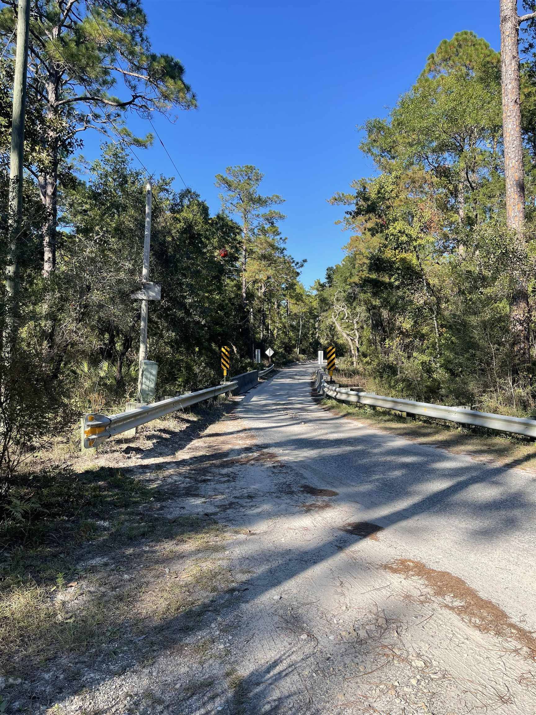 Sopchoppy, FL 32358,xx Buckhorn Creek Road