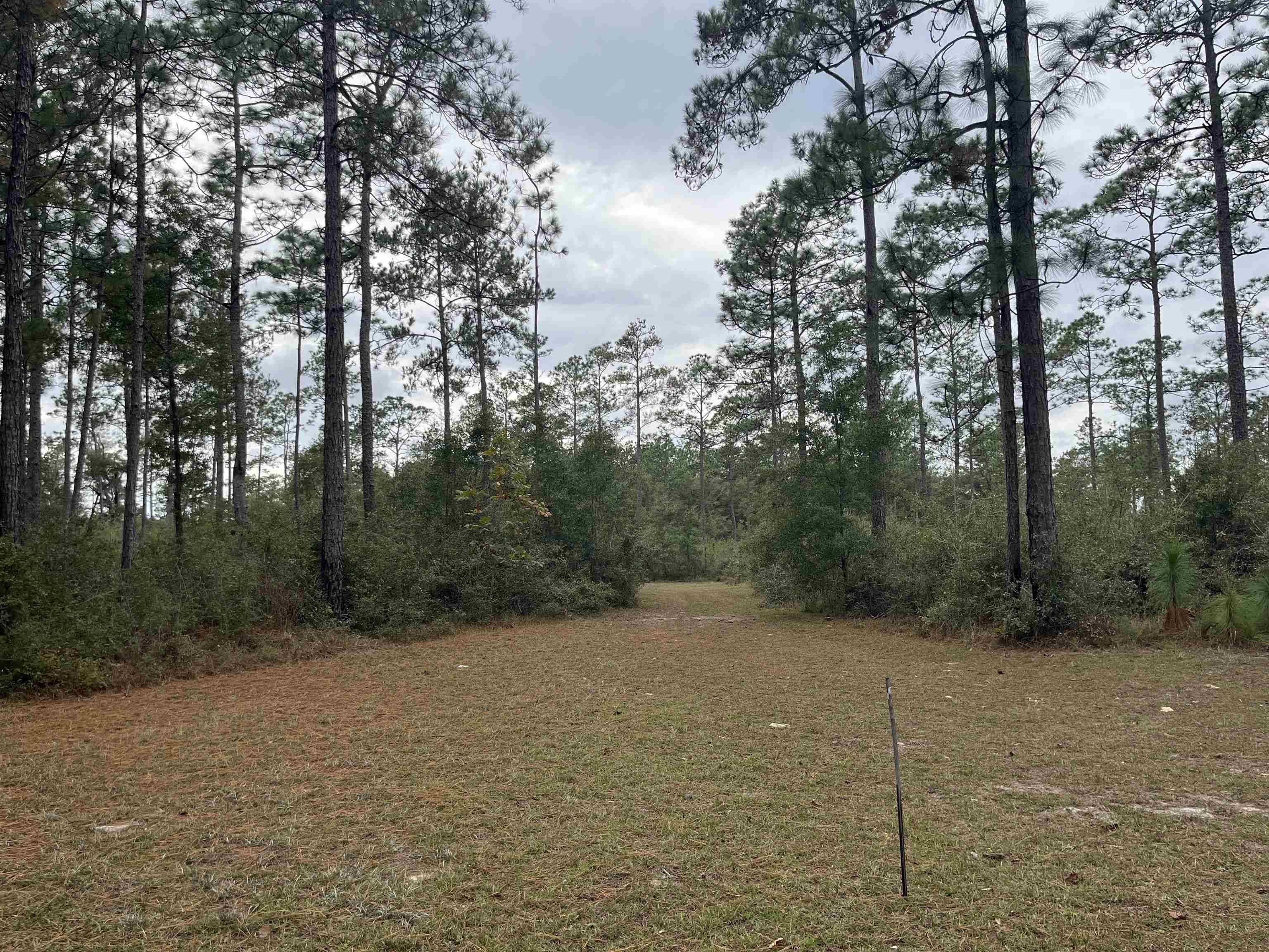 Crawfordville, FL 32327,XX Old Shell Point Road