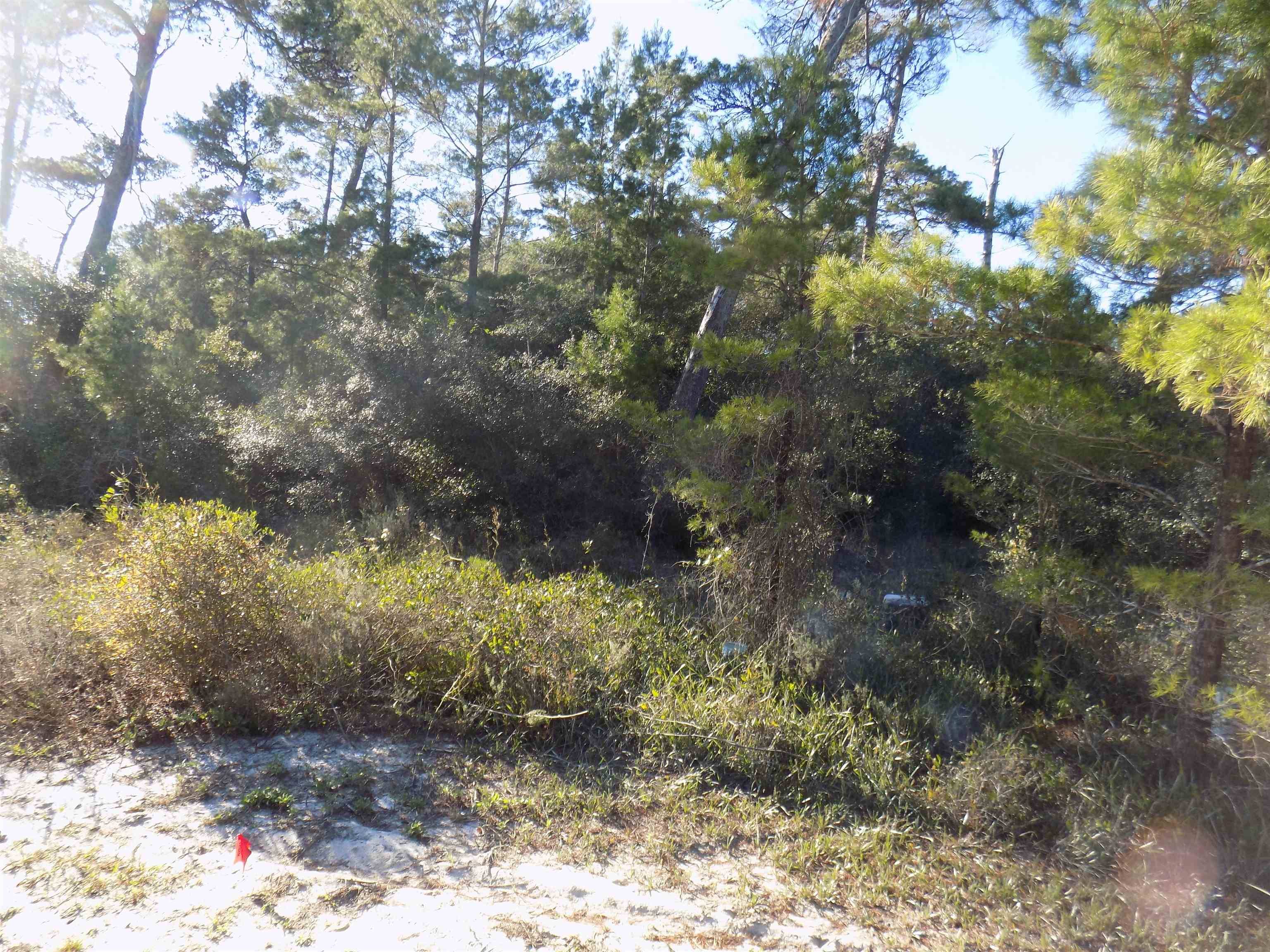 Carrabelle, FL 32322,1698 Landing Street