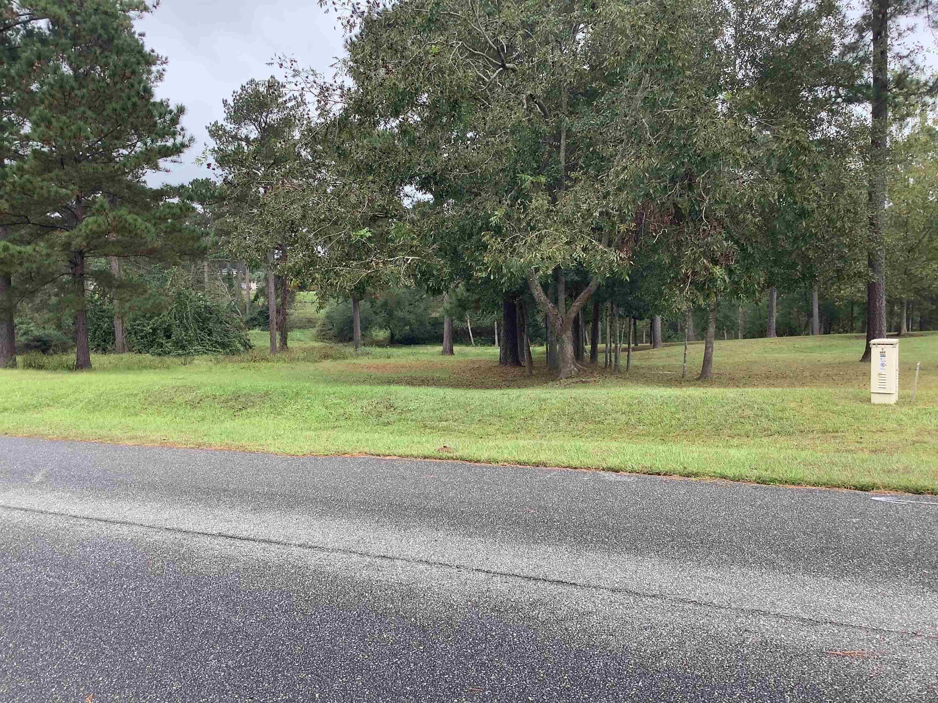 Havana, FL 32333,Lot 28 TWIN PONDS Drive