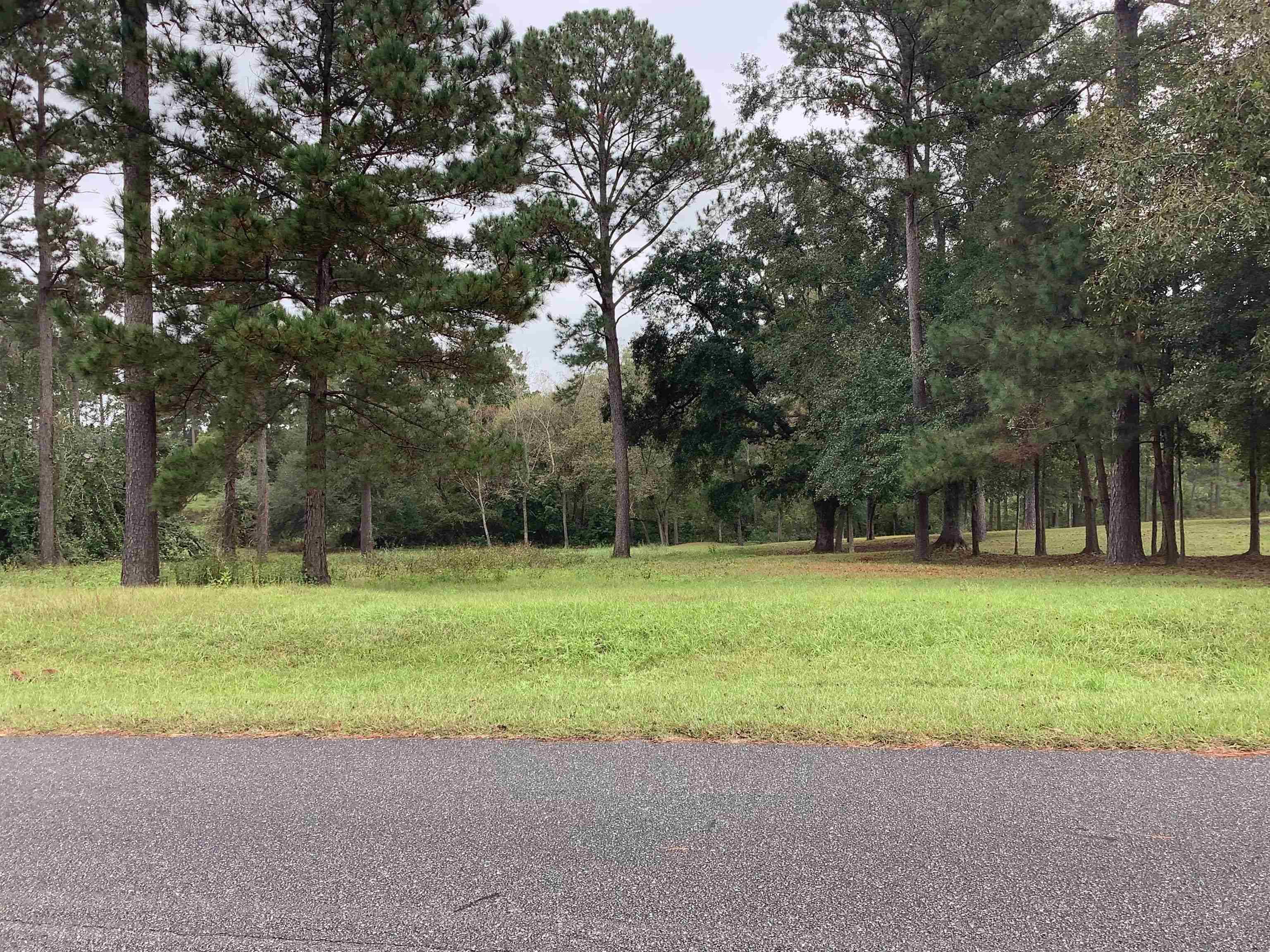 Havana, FL 32333,Lot 28 TWIN PONDS Drive