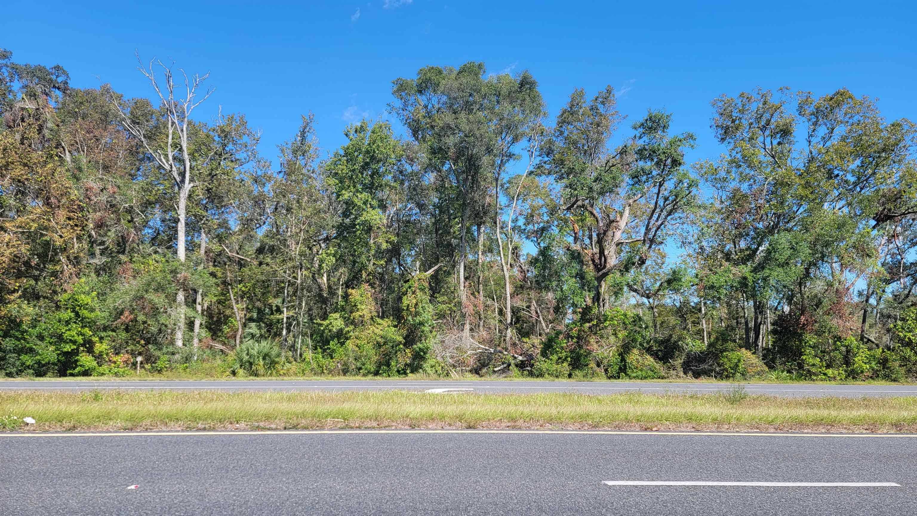 Other Florida, FL 32680,Vacant 3.13 US Highway 19