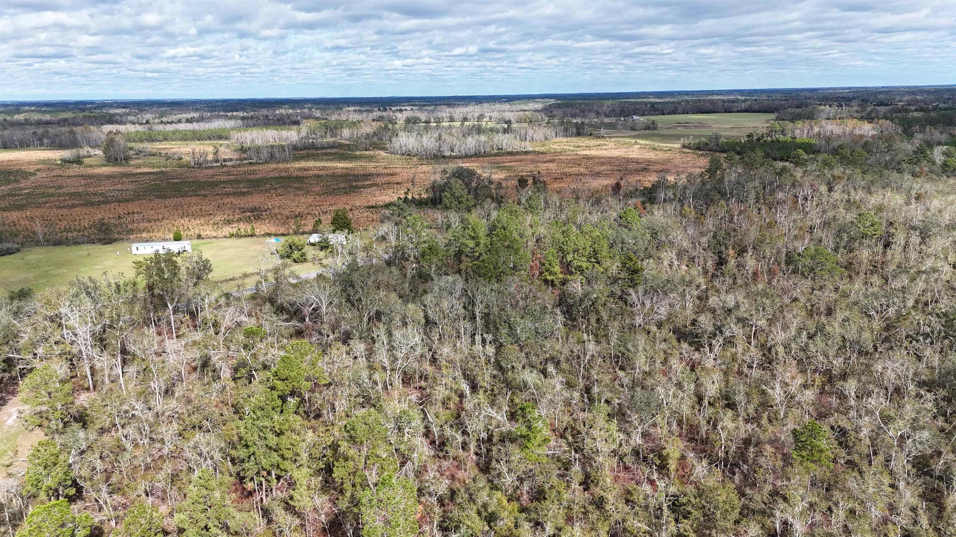 Lee, FL 32059,Vacant SW Moseley Hall Road