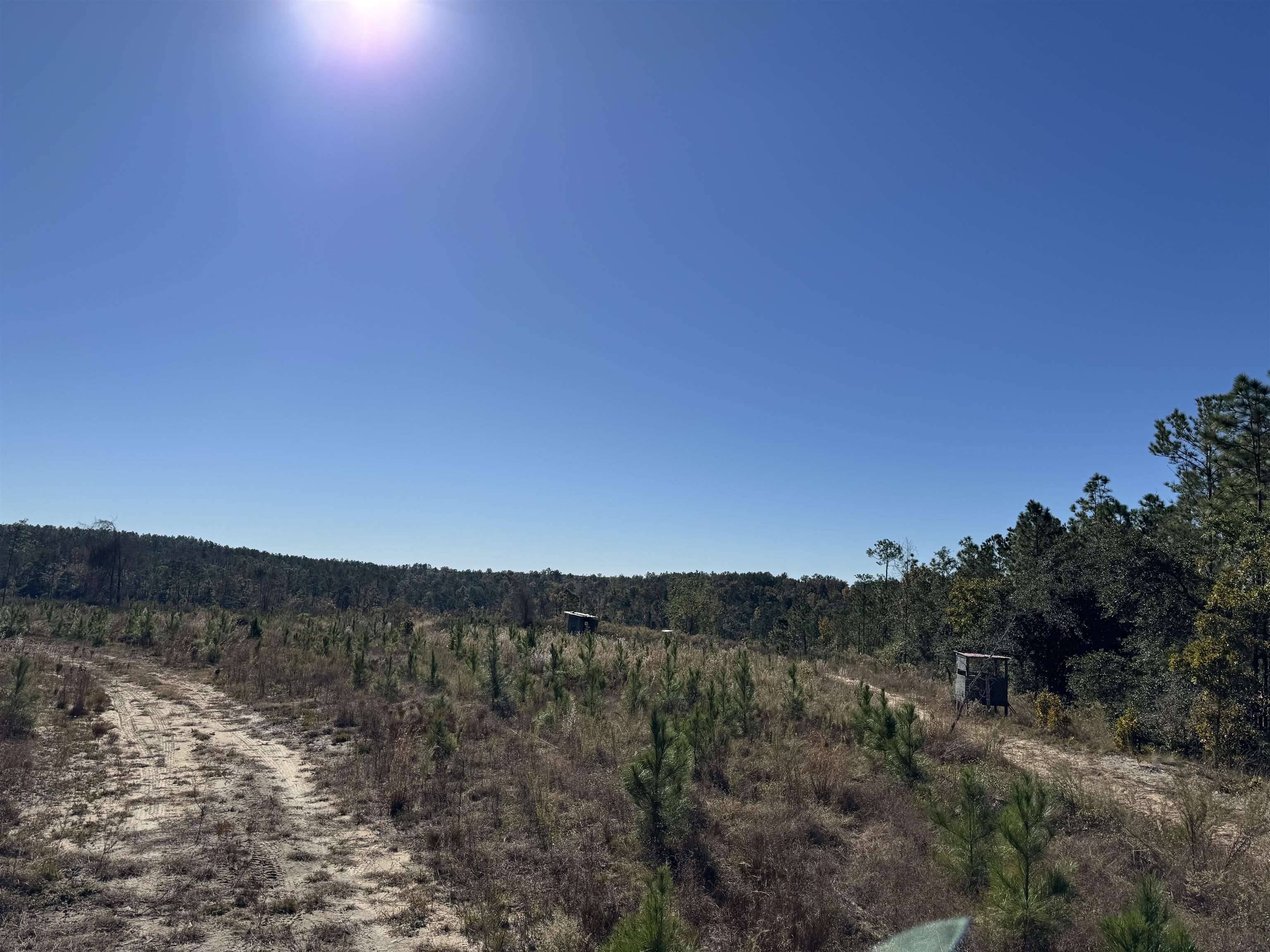 Chattahoochee, FL 32324,Aspalaga Road