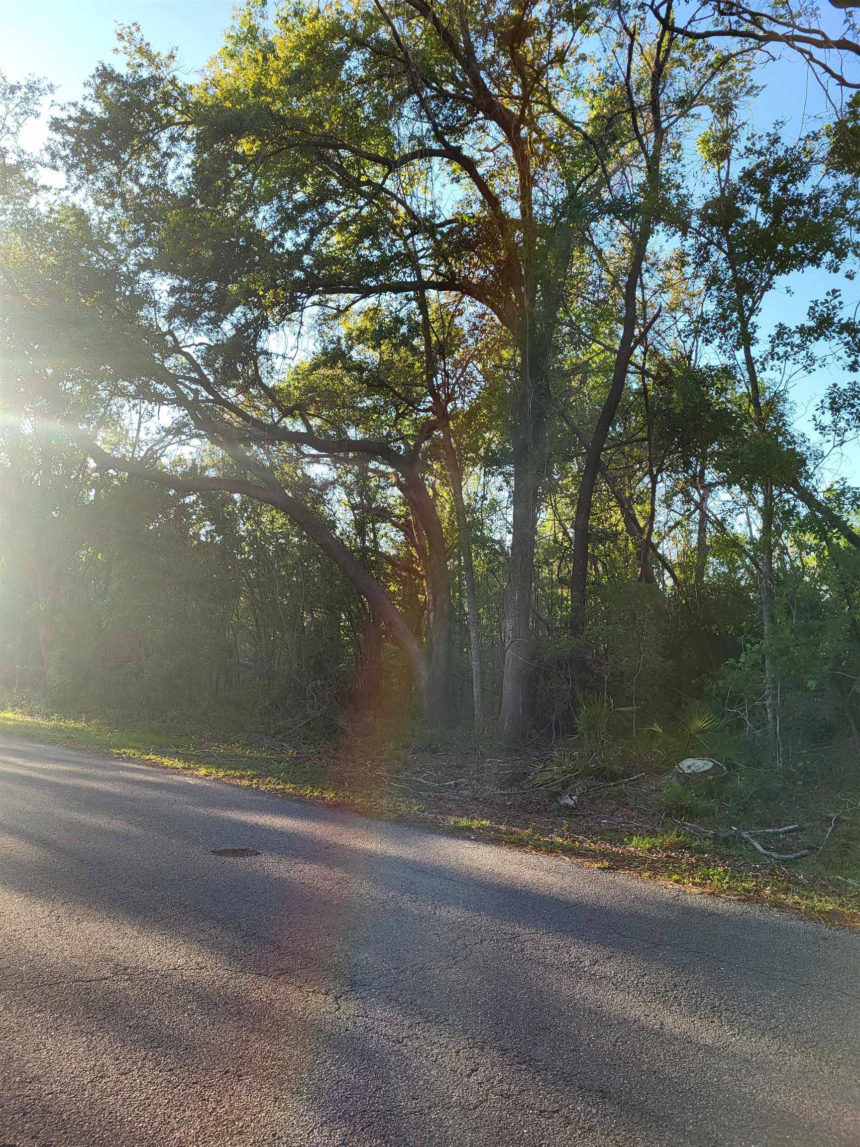 Perry, FL 32347,Lot 85,86 Canopy Lane