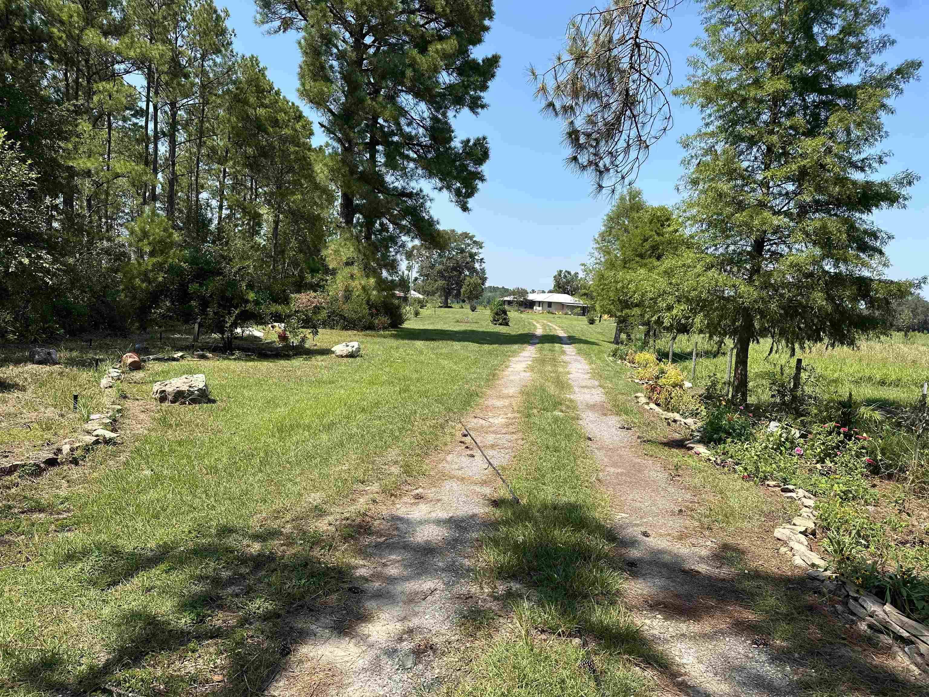 Monticello, FL 32344,4287 Bassett Dairy Road