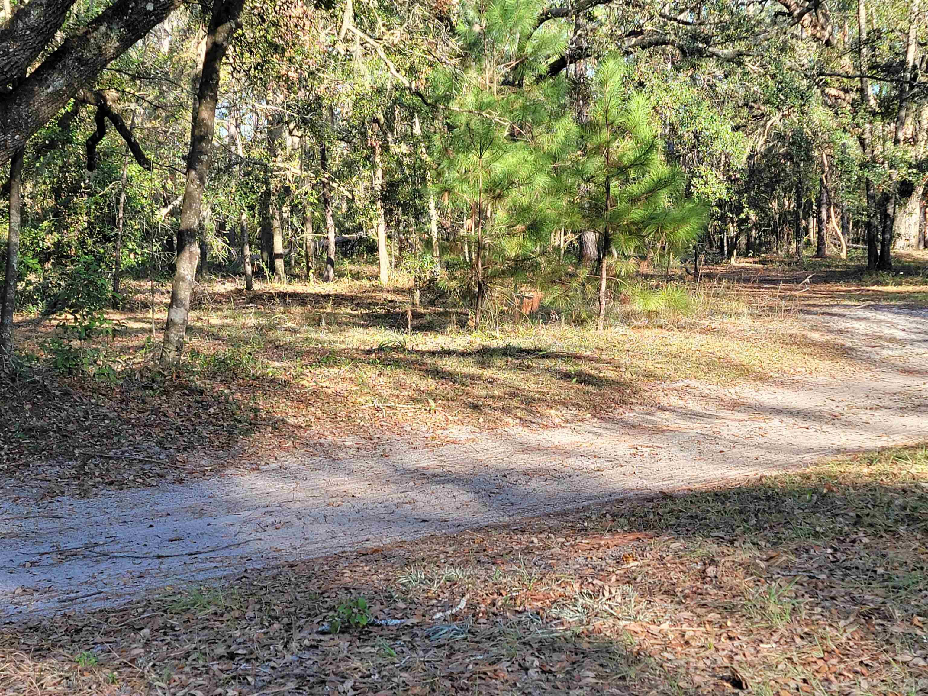 Perry, FL 32348,00 Landry Road