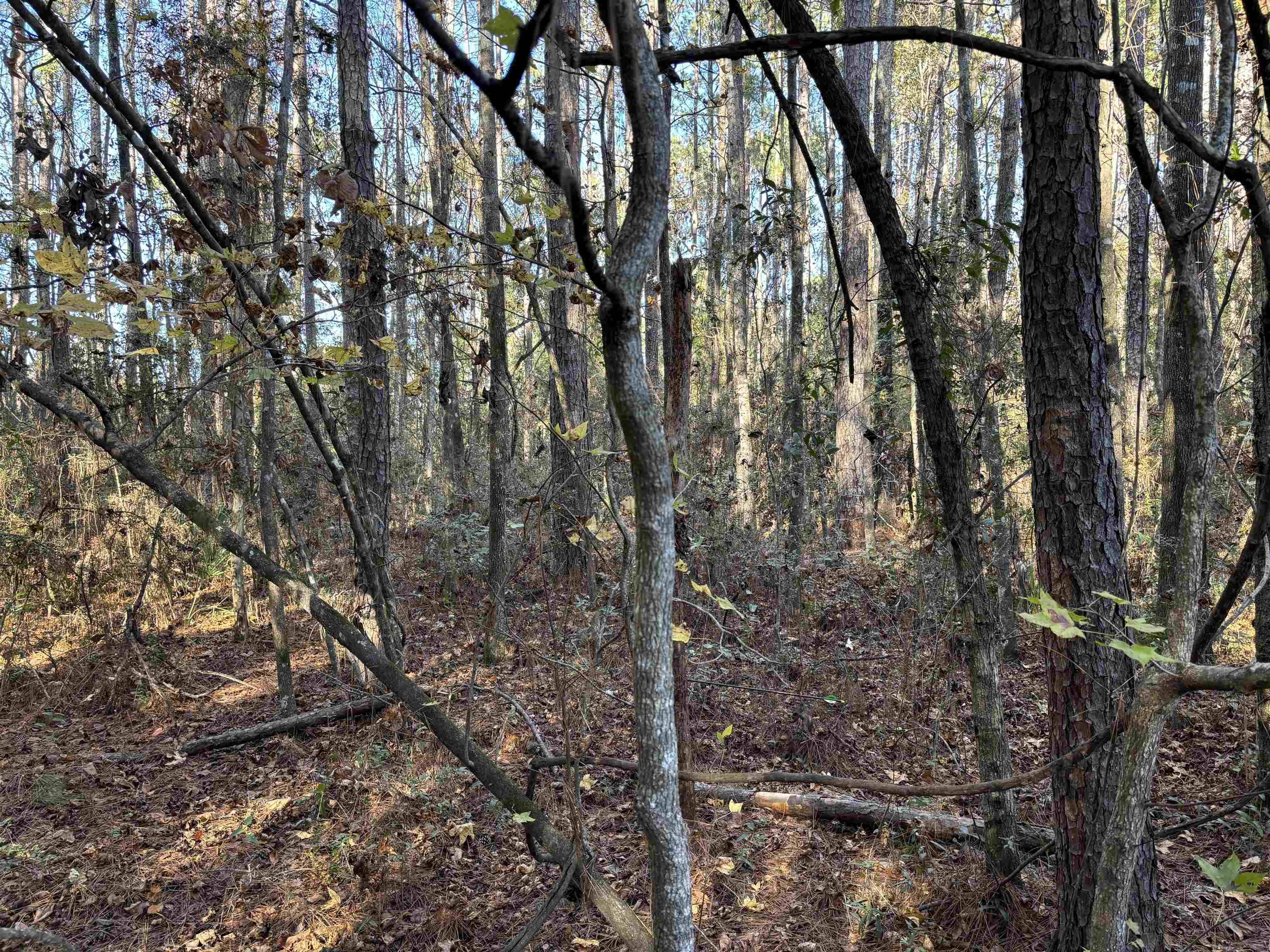 Crawfordville, FL 32327,Lot 6 Magpie Trail