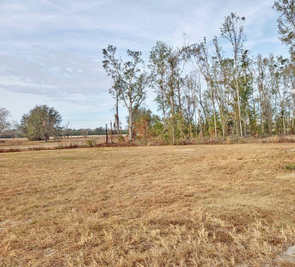 Madison, FL 32340,836 NE Delphinium Drive