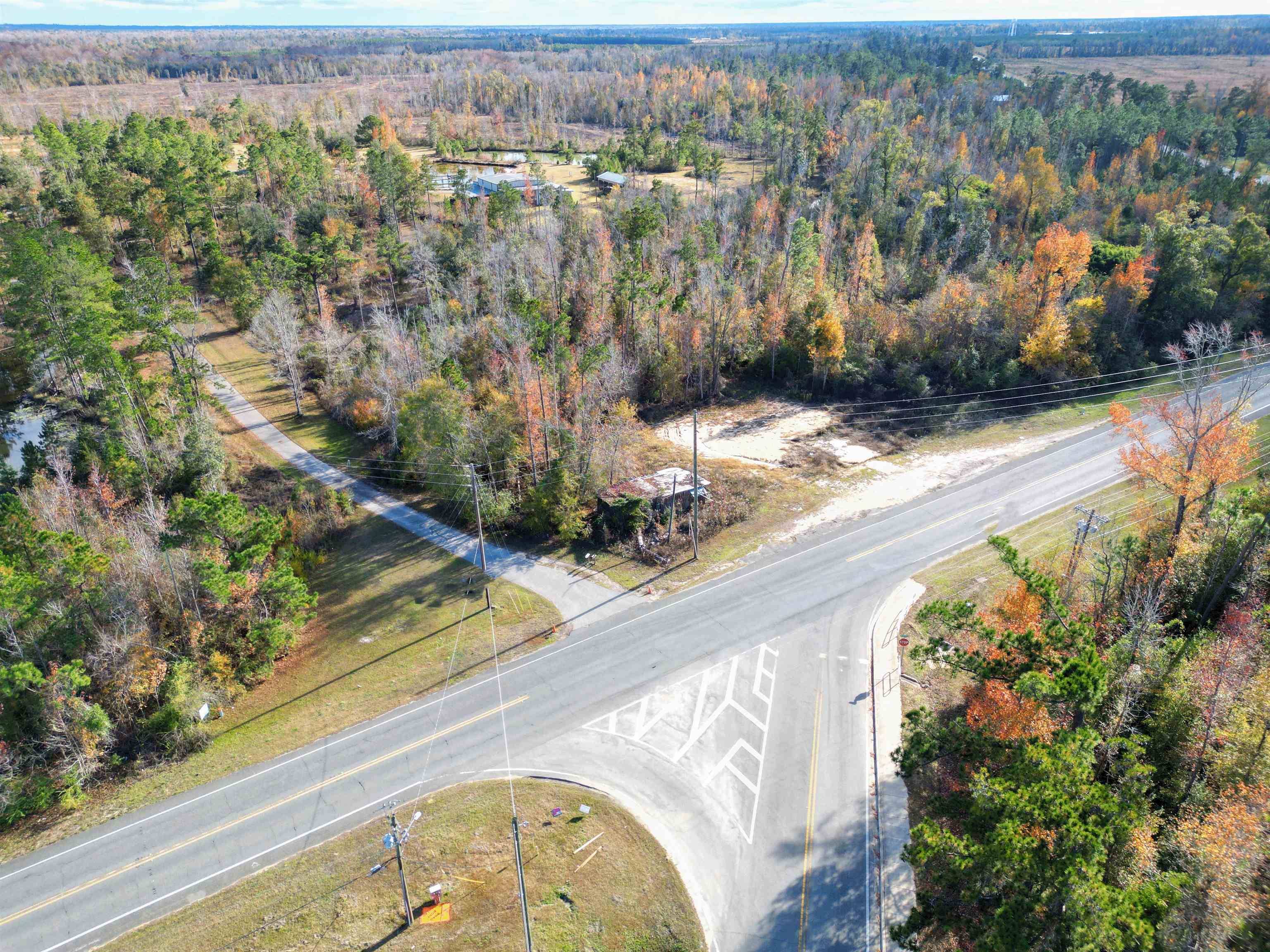 Blounstown, FL 32424,15985 S Sr 71 Road