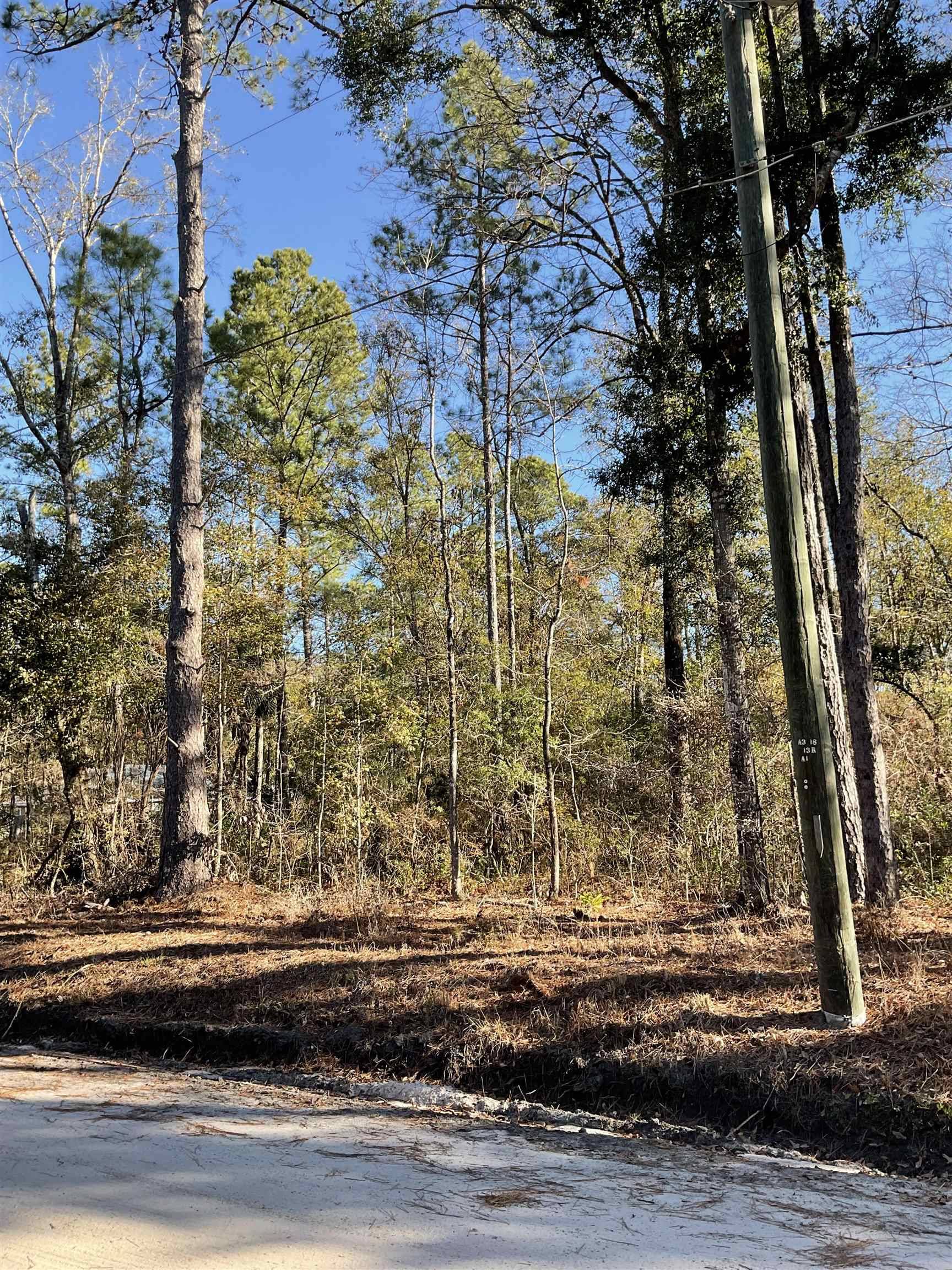 Crawfordville, FL 32327,XX Choctaw Rd Lot 33