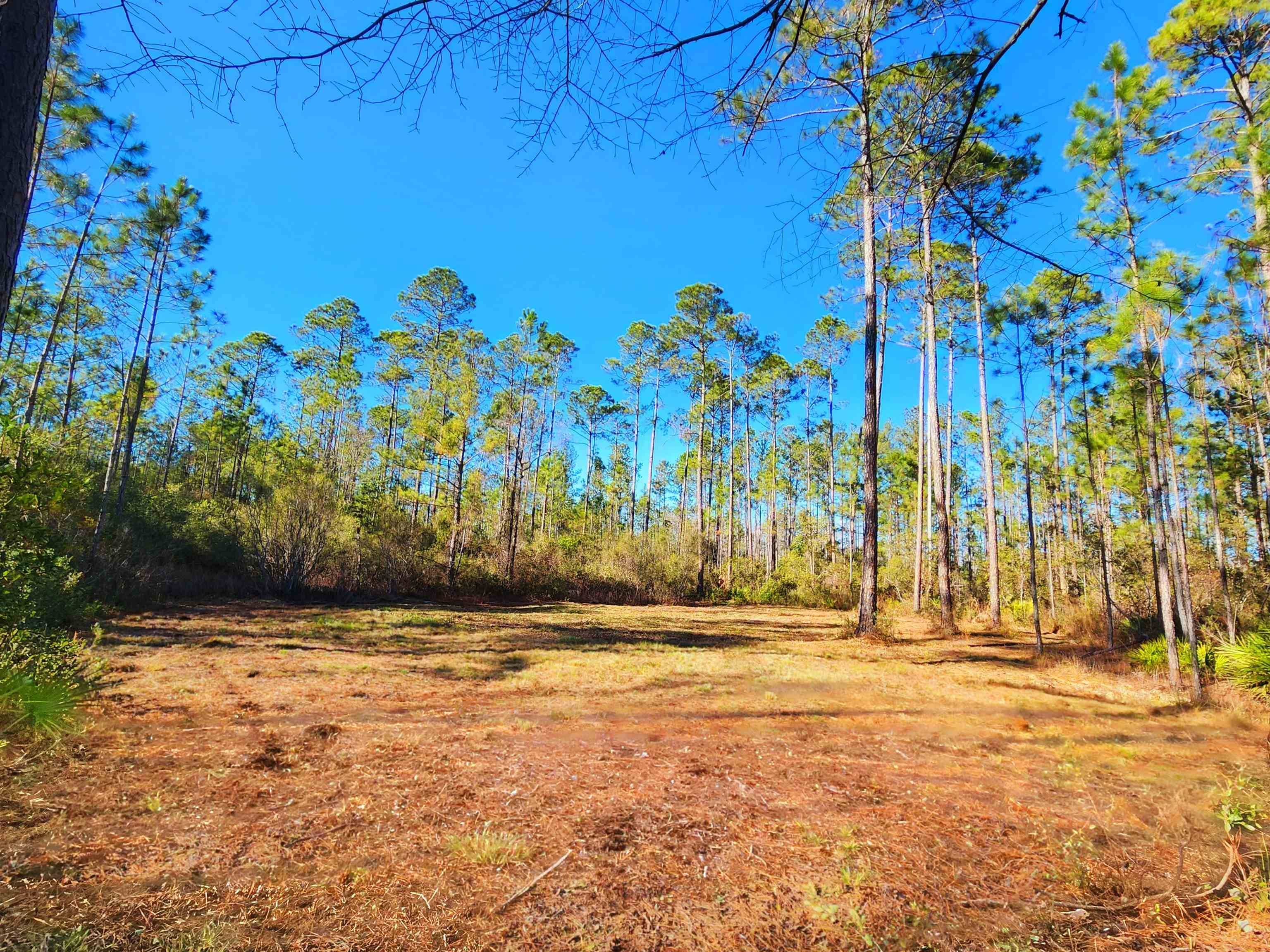 Greenville, FL 32331,Lot 116 SW Pier Road