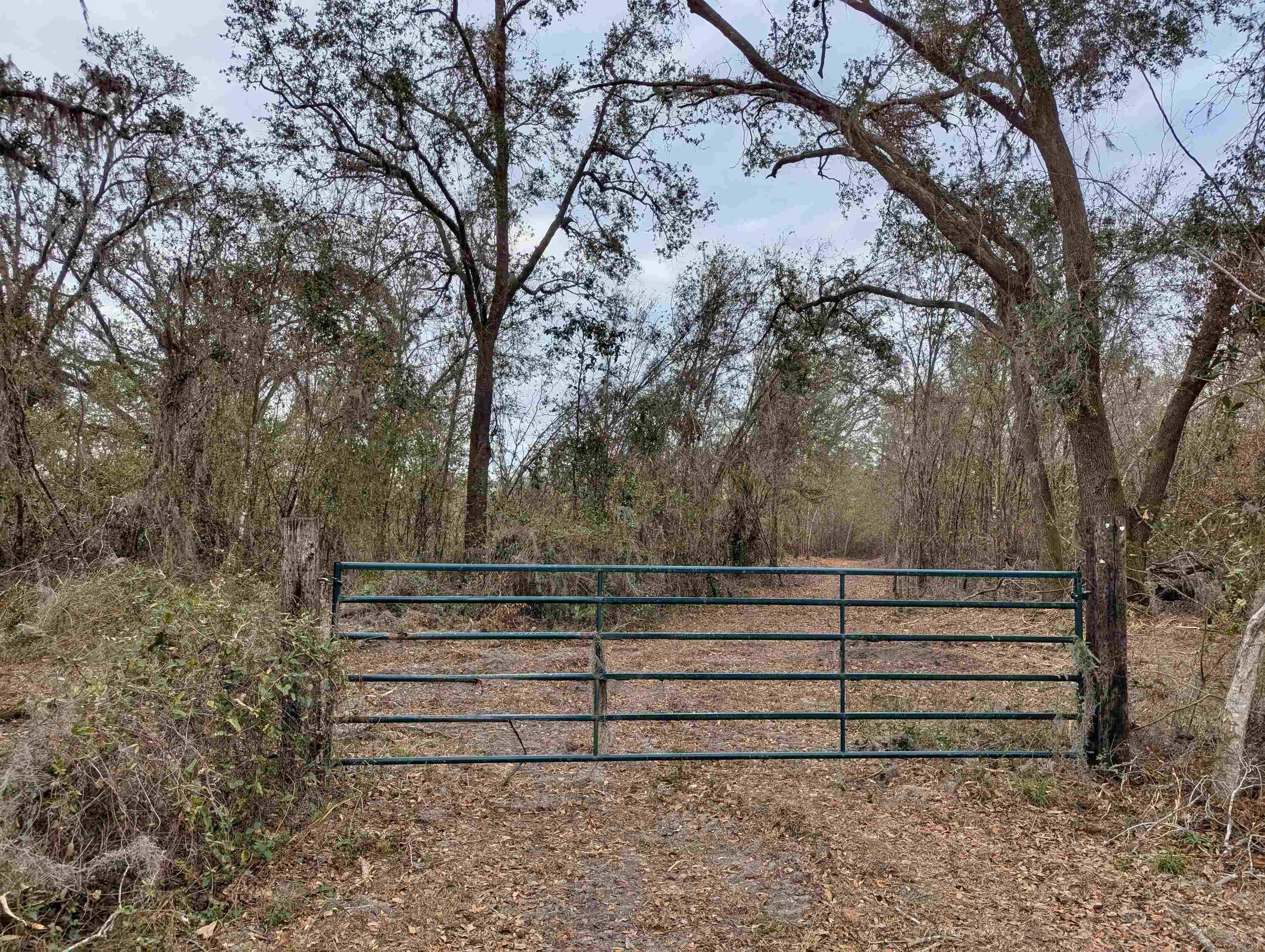 Lee, FL 32059,SE Farm Road