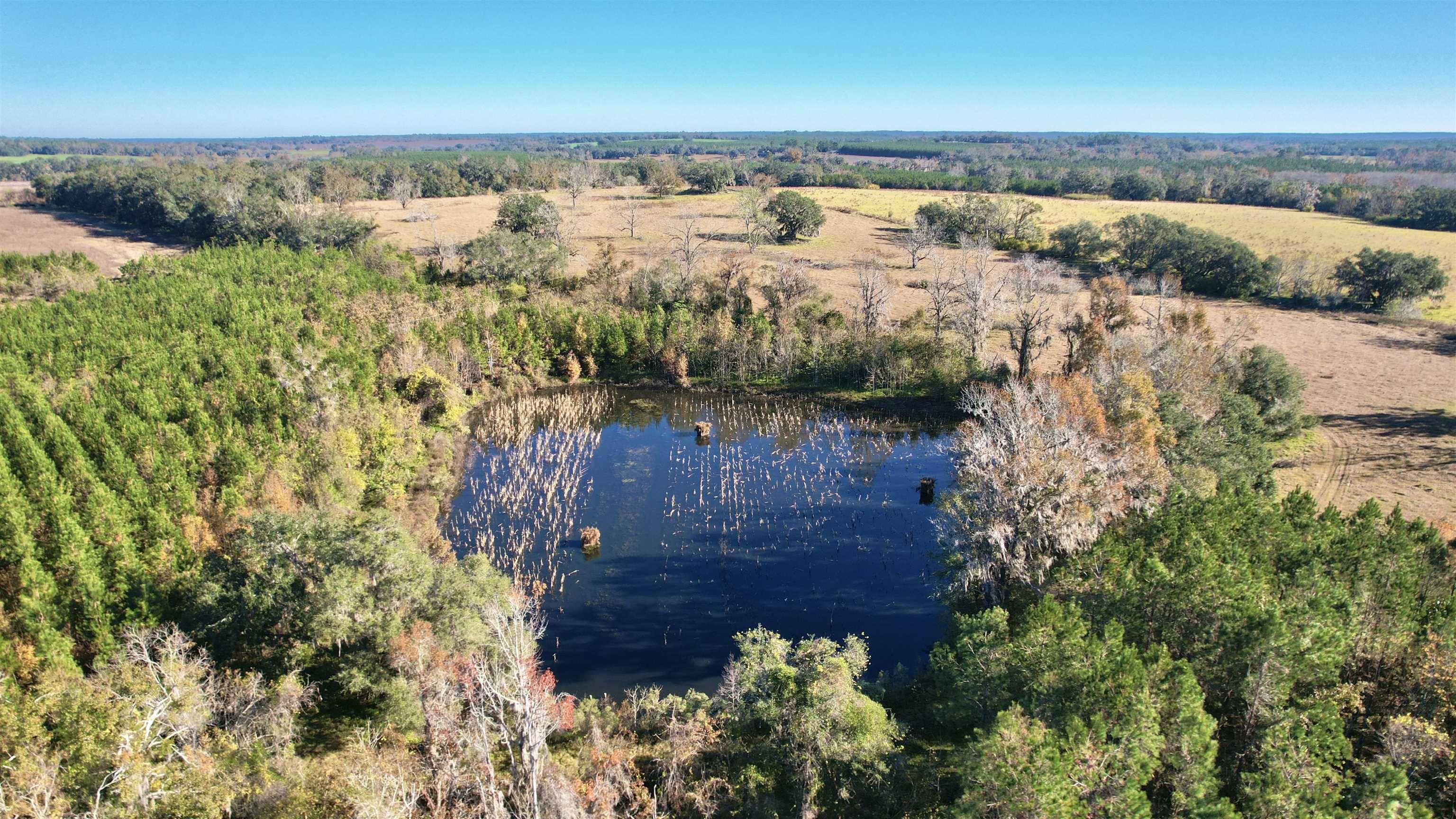 Monticello, FL 32344,Bassett Dairy Road
