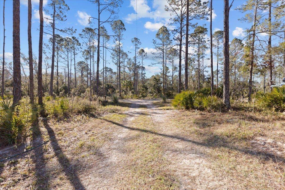 Steinhatchee, FL 32359,1309 NE Sugar Hill Lane