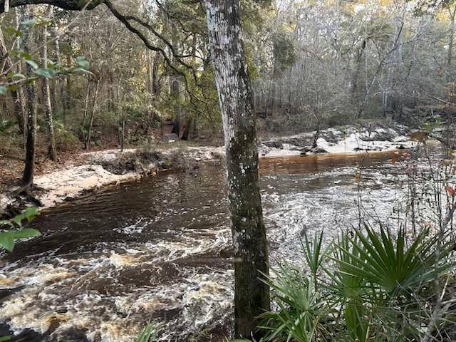 Monticello, FL 32344,W Osprey Lane