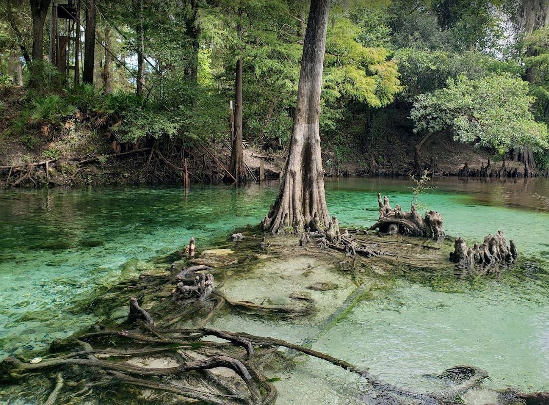 Lee, FL 32059,Vacant NE River Ridge Way