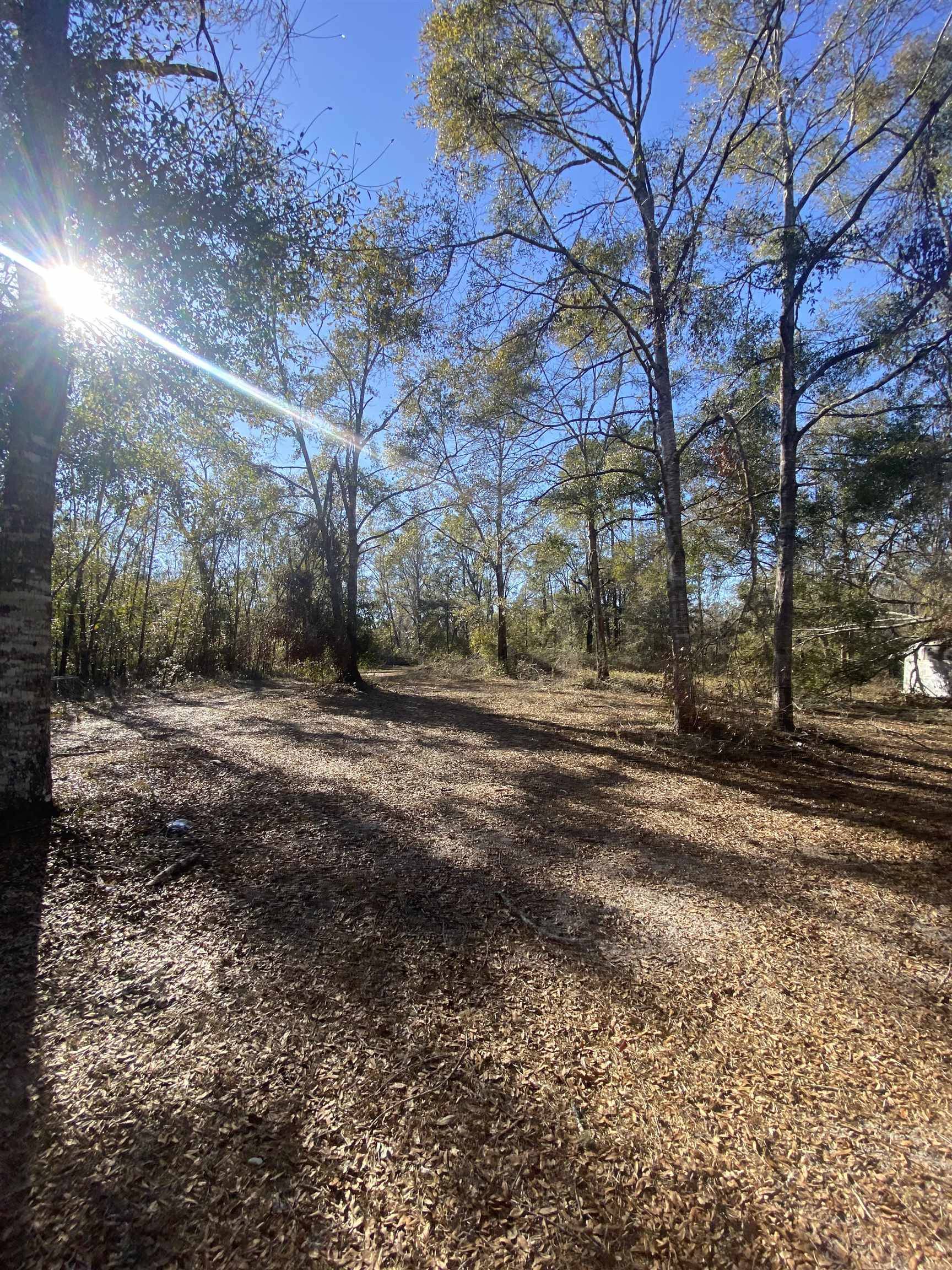 Greenville, FL 32331,6380 Ira L. Smith Road