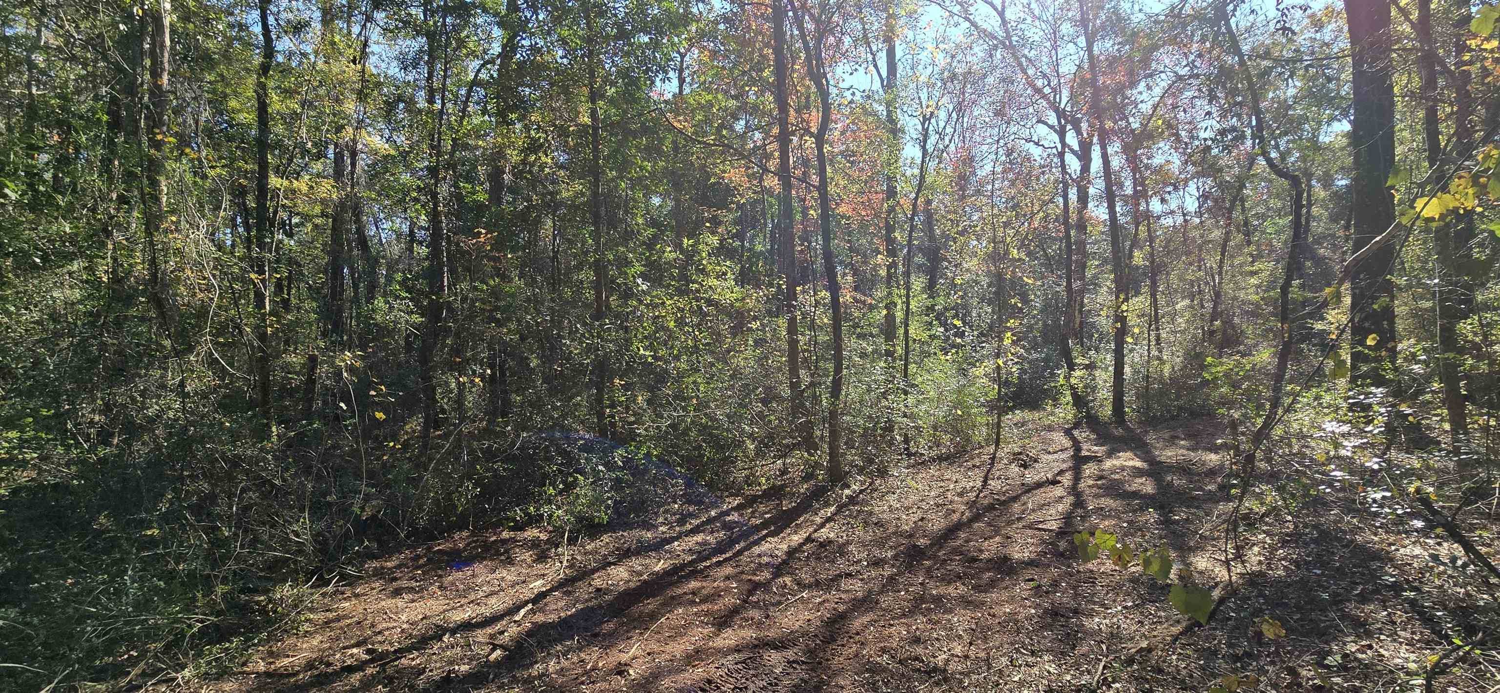 Sopchoppy, FL 32358,Cherokee Drive