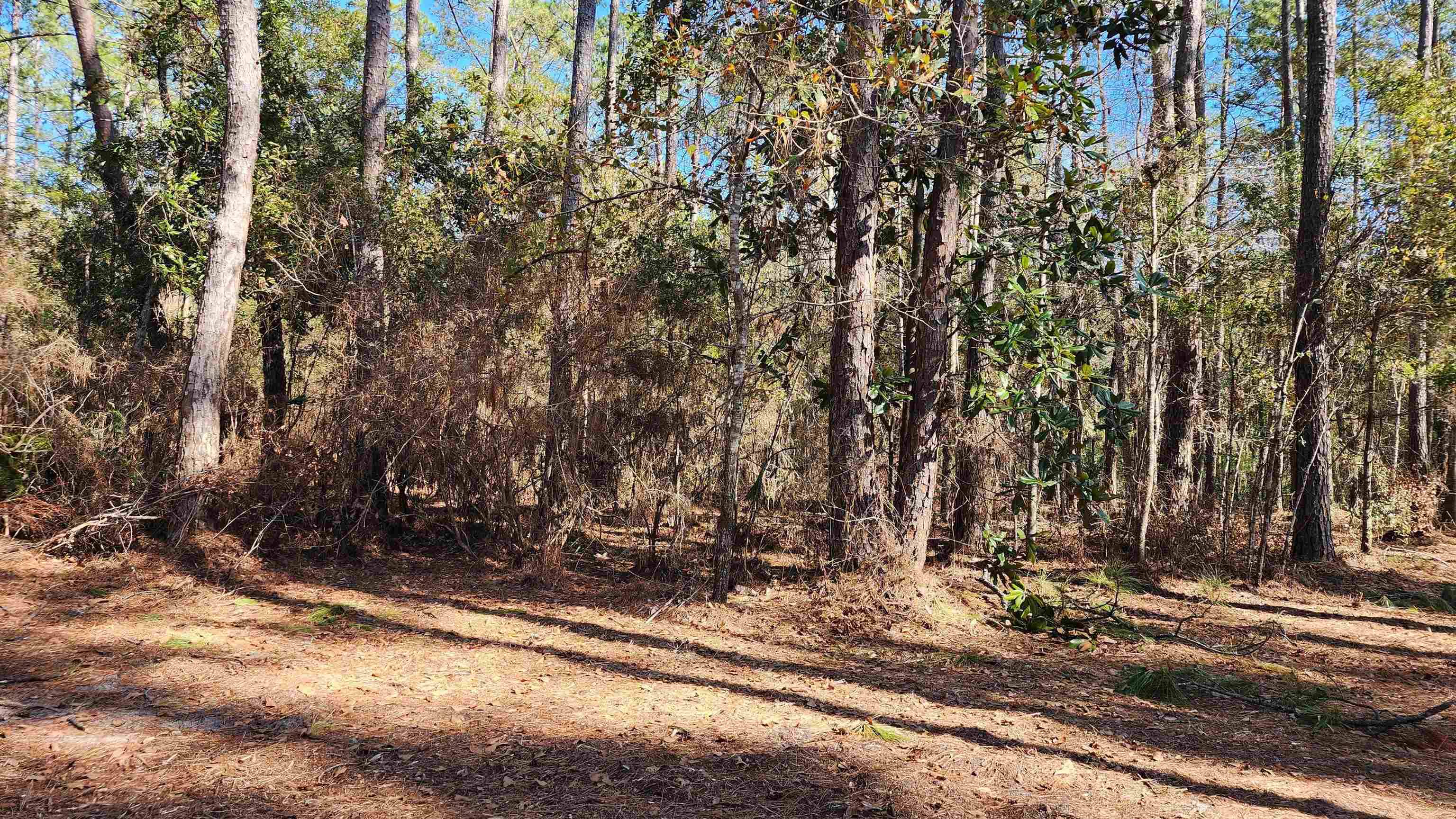 Sopchoppy, FL 32358,Cherokee Drive