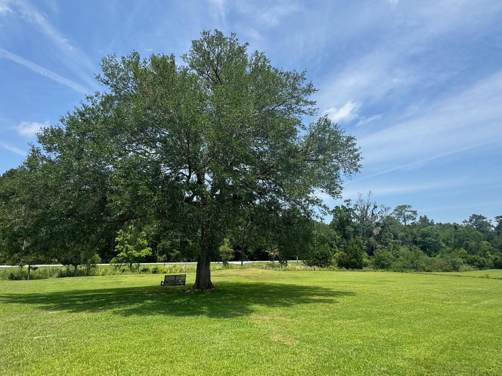 Thomasville, GA 31757,101 Willow Ridge Circle
