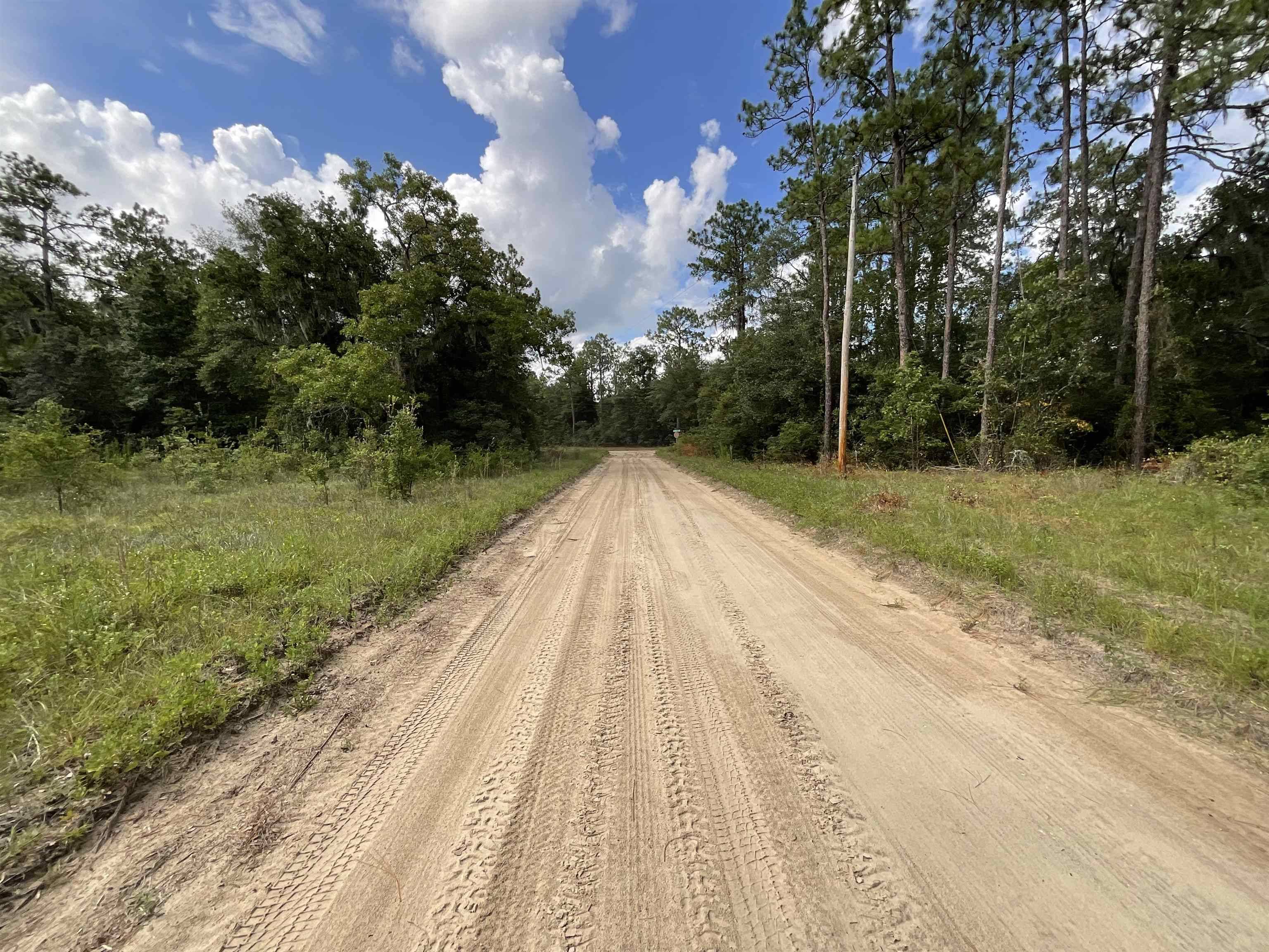 Lee, FL 32059,Vacant *Lot 58* NE Blackjack Loop #1