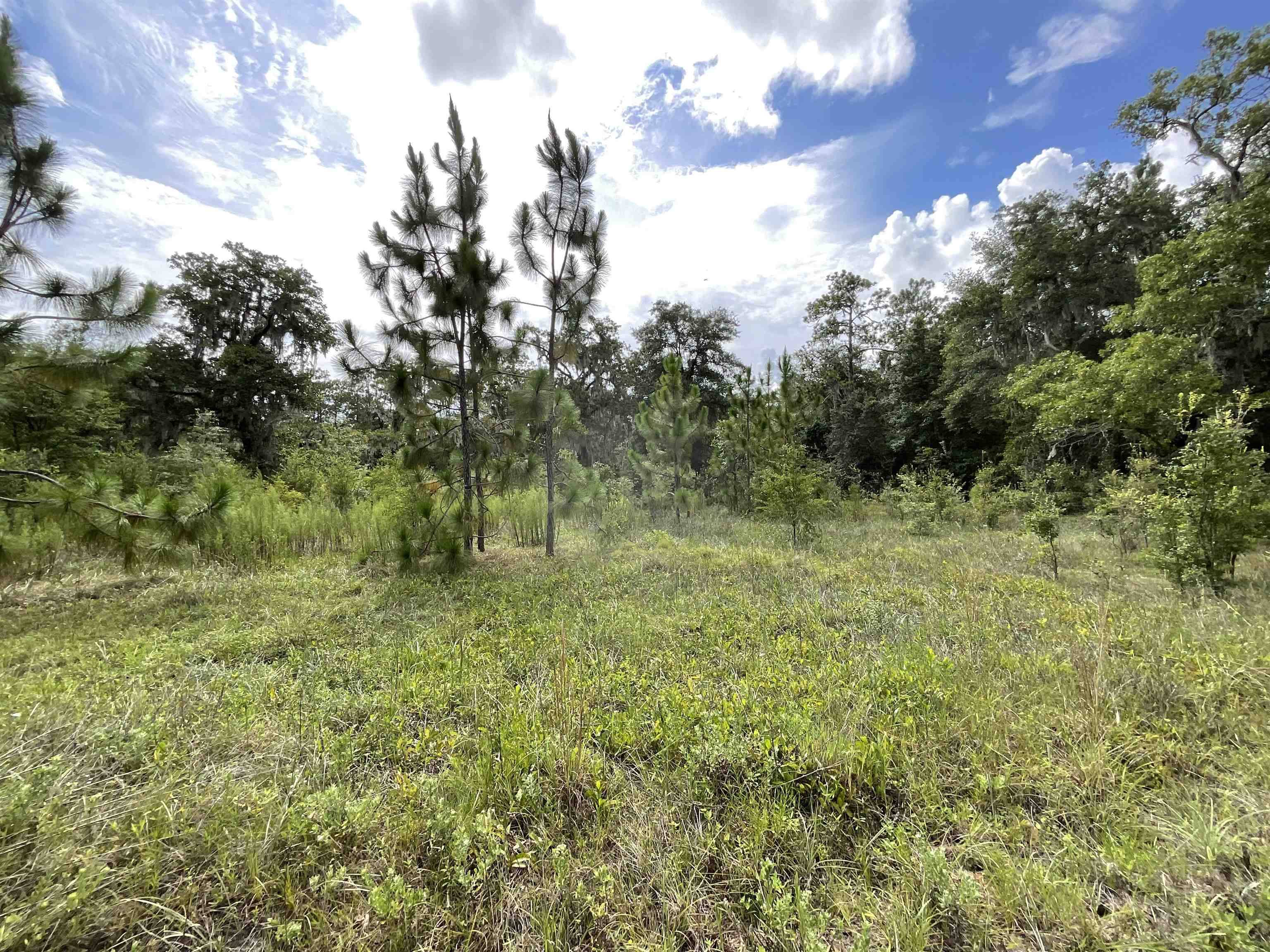 Lee, FL 32059,Vacant *Lot 58* NE Blackjack Loop #1