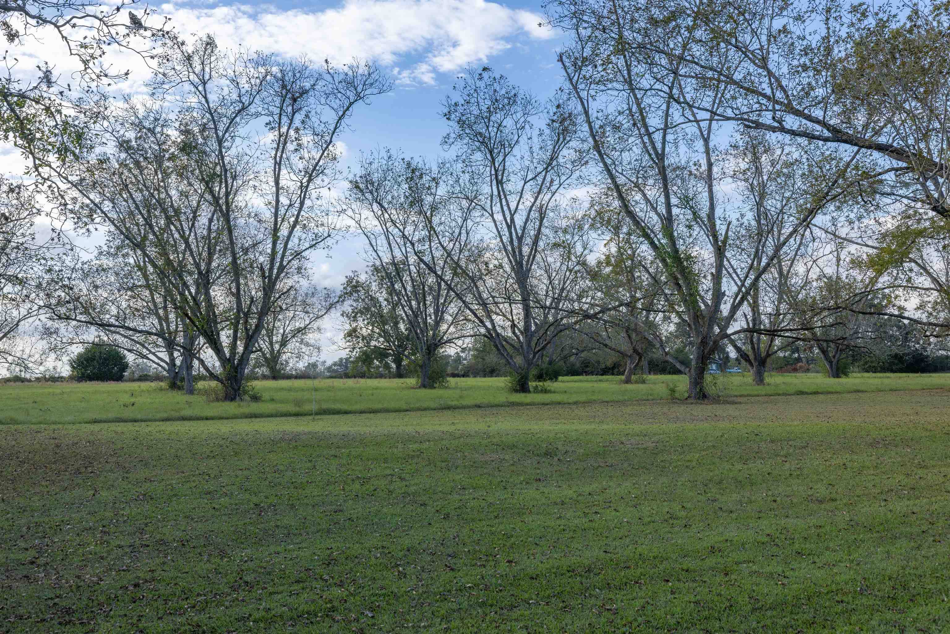 Other Georgia, GA 31778-0317,400 Nesbitt Road