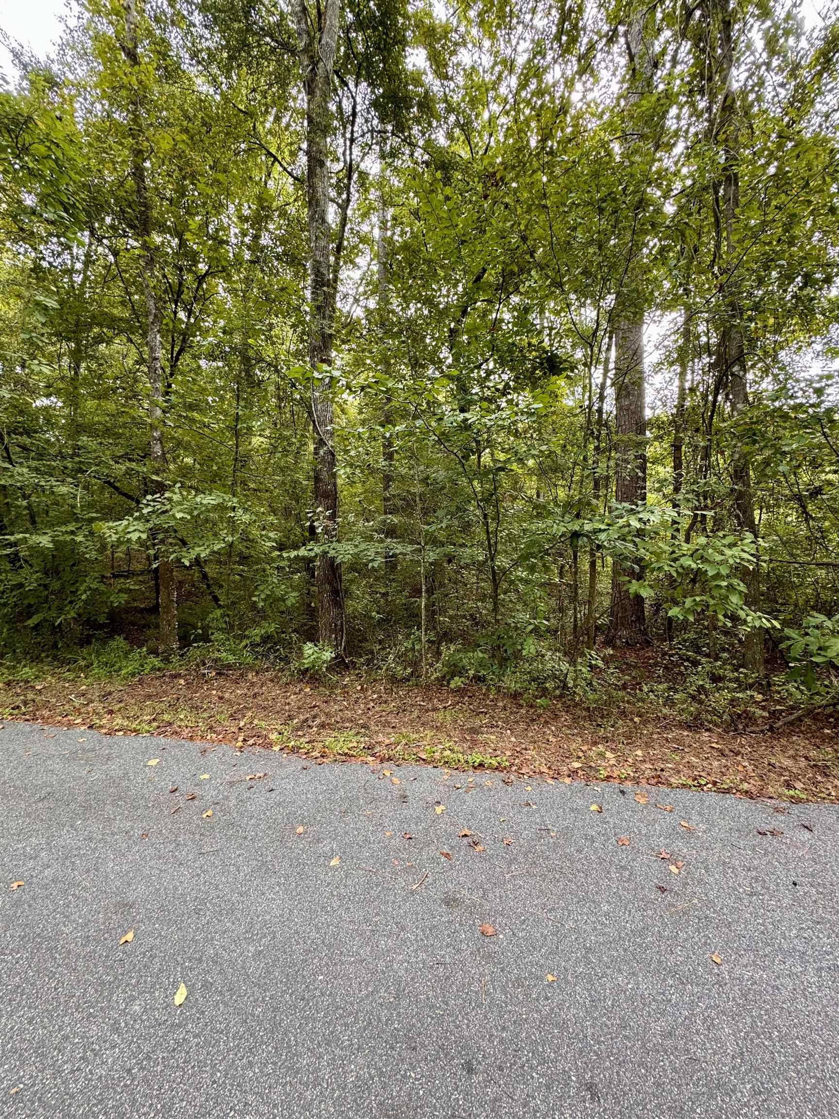 Tallahassee, FL 32312,Buckhorn Road