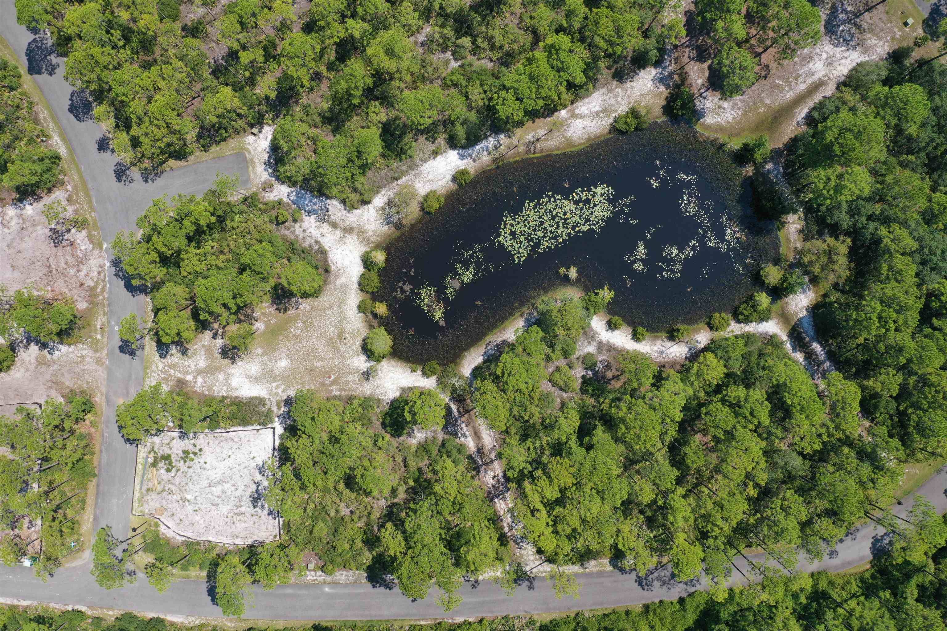 St Teresa, FL 32358,129 Winding Trail Way #Lot 385 - East