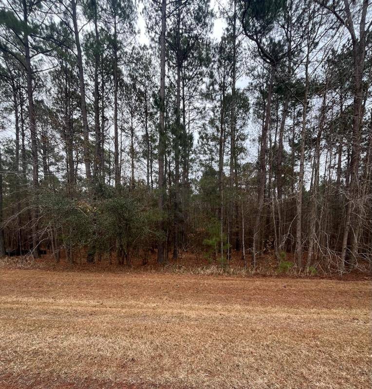 Tallahassee, FL 32309,Lot 80 Banning Way Road