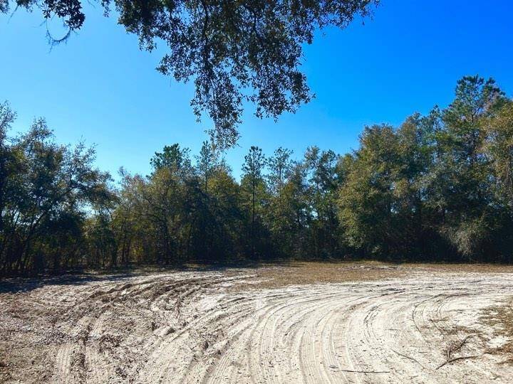 Sopchoppy, FL 32358,28 Allen Street