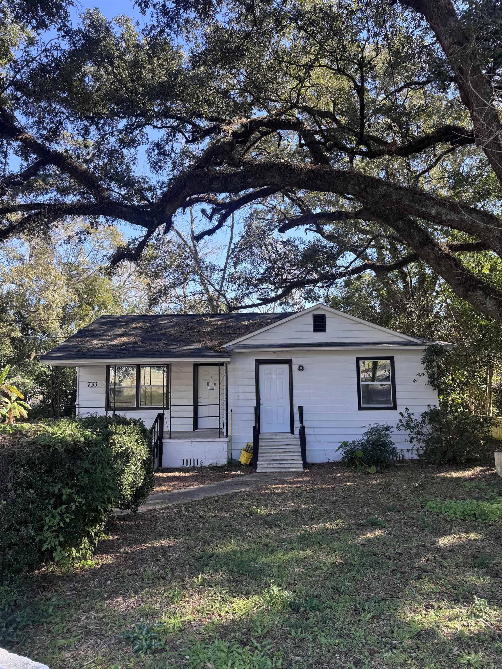 Tallahassee, FL 32304,733 California St