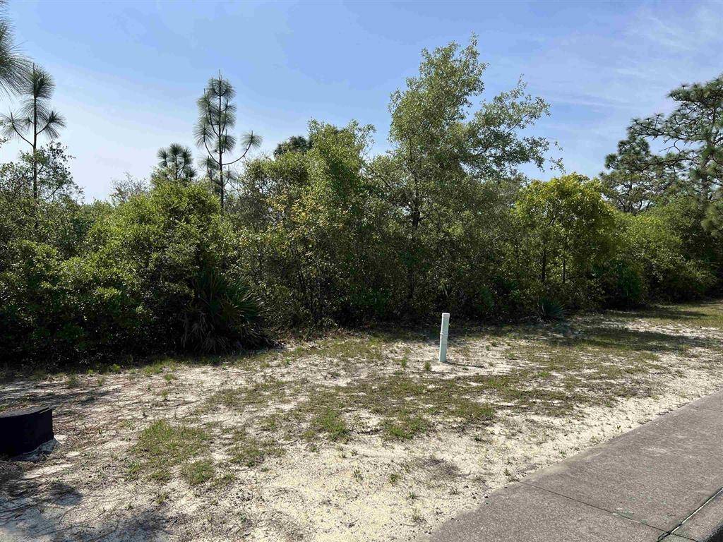 Carrabelle, FL 32322,146 Anhinga Trail