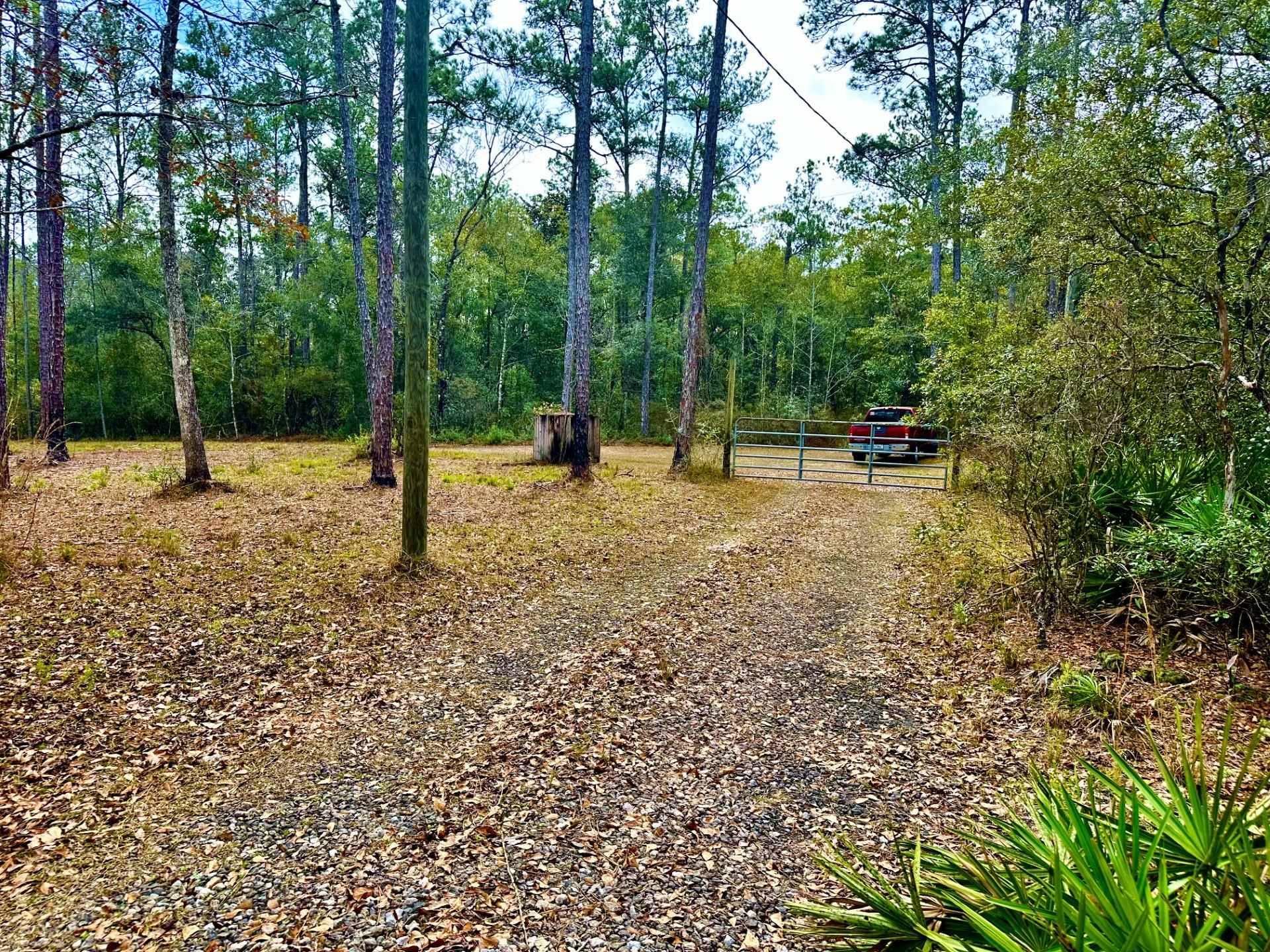 Sopchoppy, FL 32358,136 Pamela Place