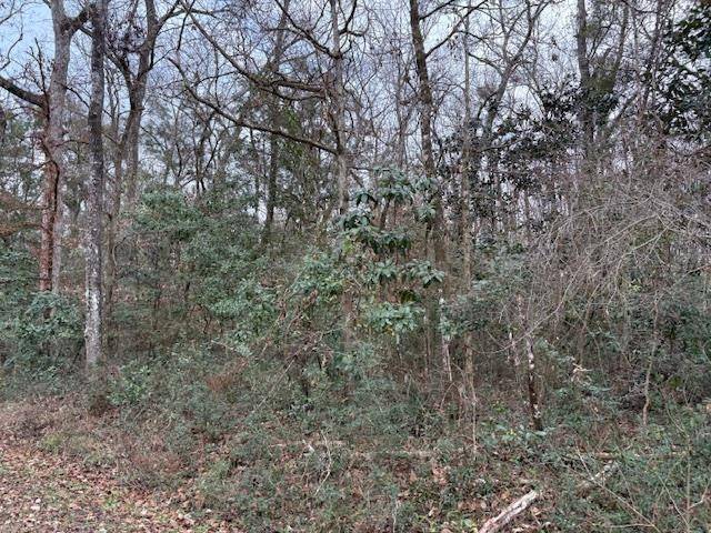 Crawfordville, FL 32327,XXX Hickorywood Drive